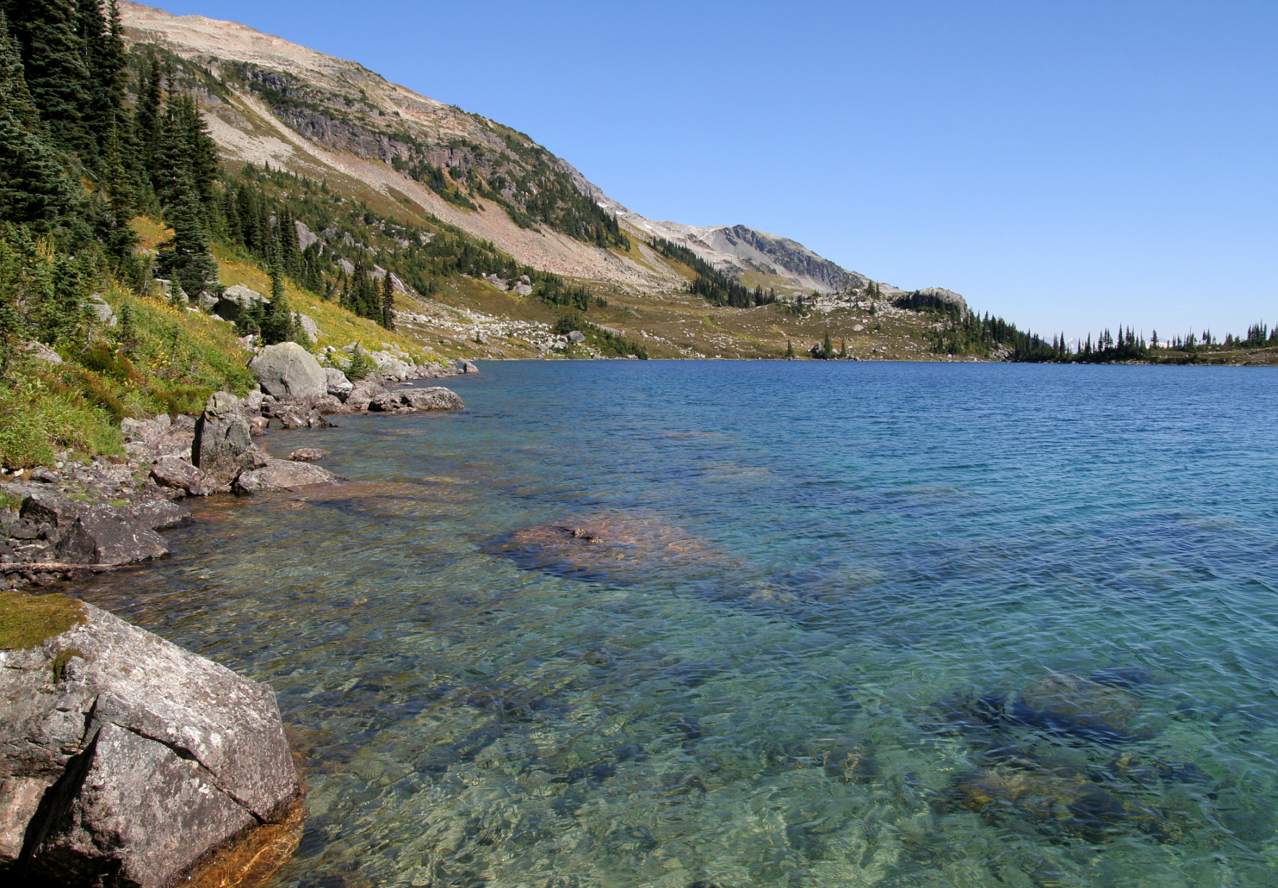 跨年创作挑战赛# 瓦纳卡湖是新西兰第四大湖泊,也是新西兰最大的河流