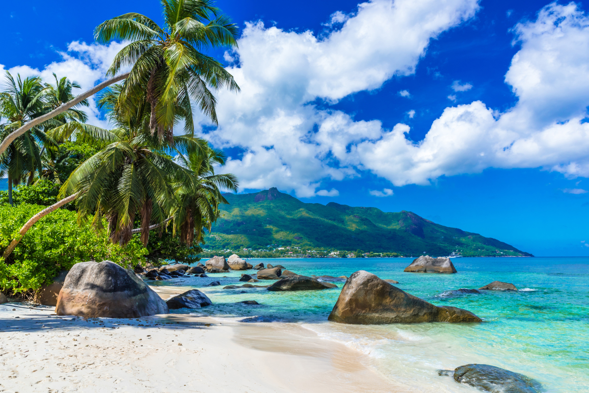 海南旅游攻略必玩的景点 谈及海南旅游攻略,首先映入眼帘的便是那椰树