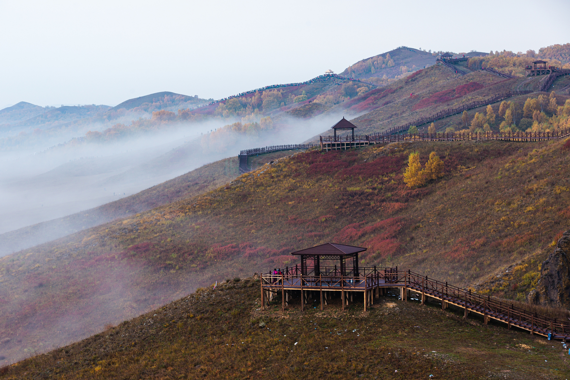 我最近去了一个超级棒的地方——驼梁风景区!