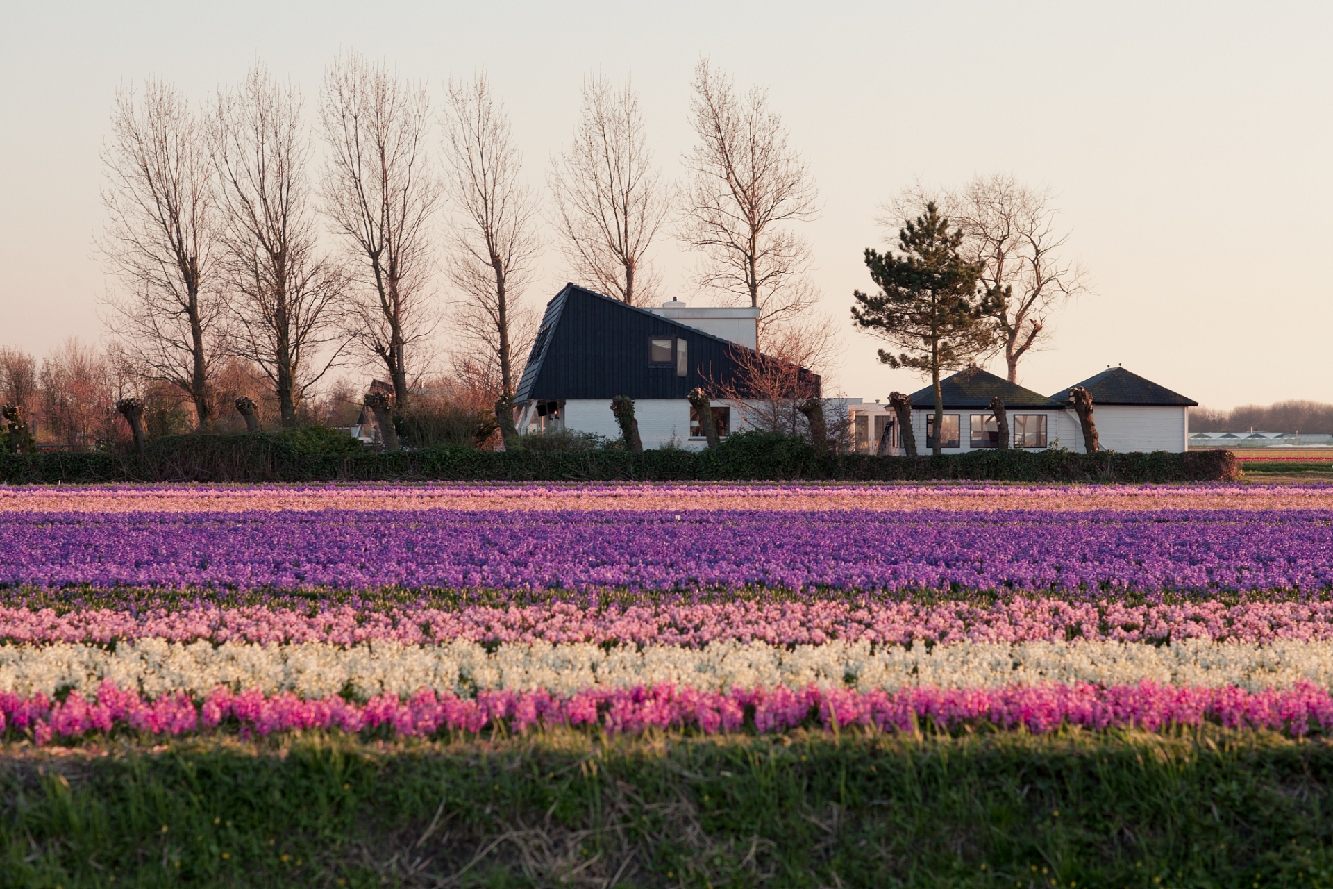三台山国家森林公园不仅有着壮丽的自然景观,还有着令人惊叹的建筑和