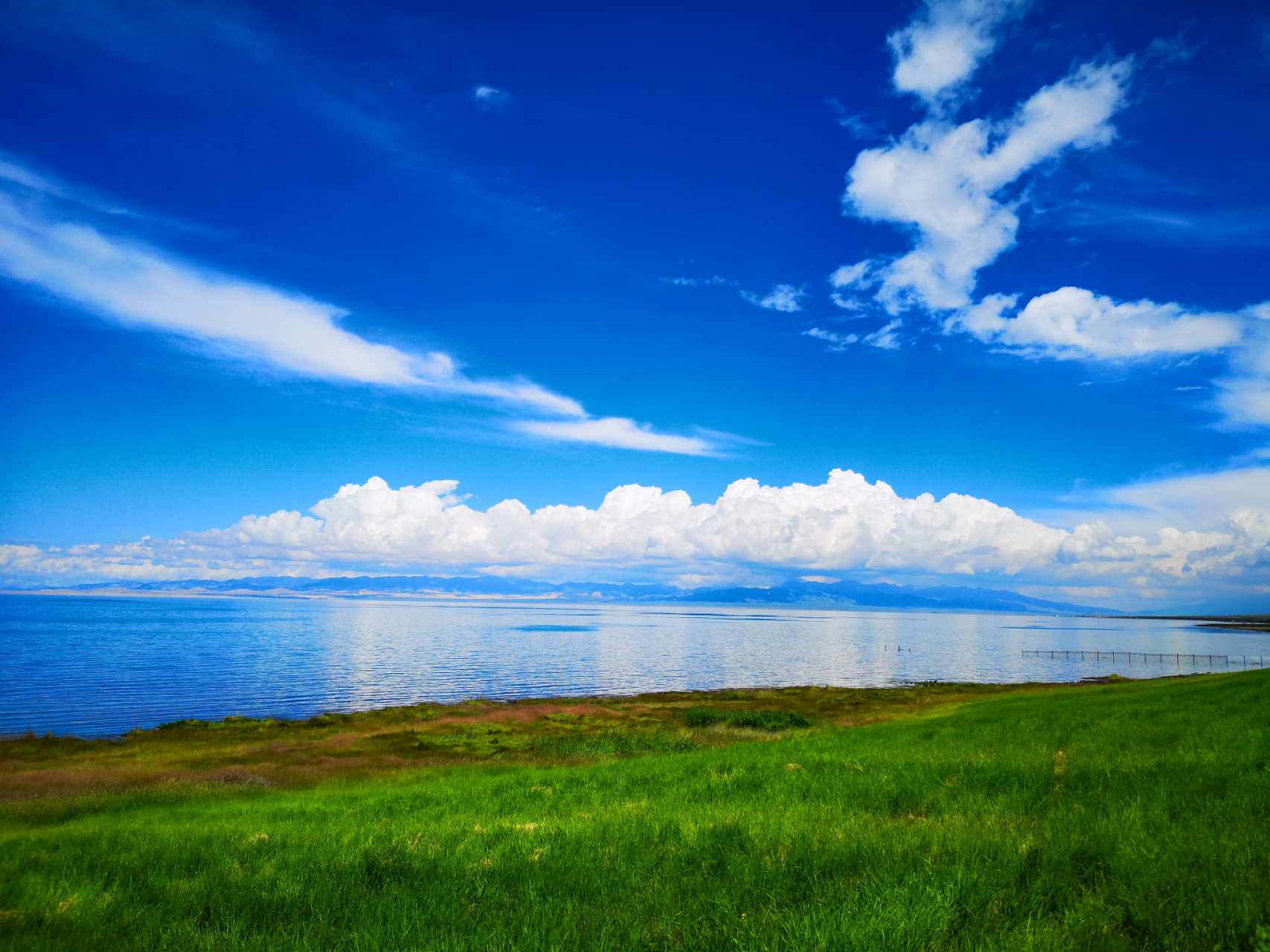 青海湖由淡水湖变为咸水湖的自然原因_青海湖由淡水湖演变成咸水湖的根本原因是