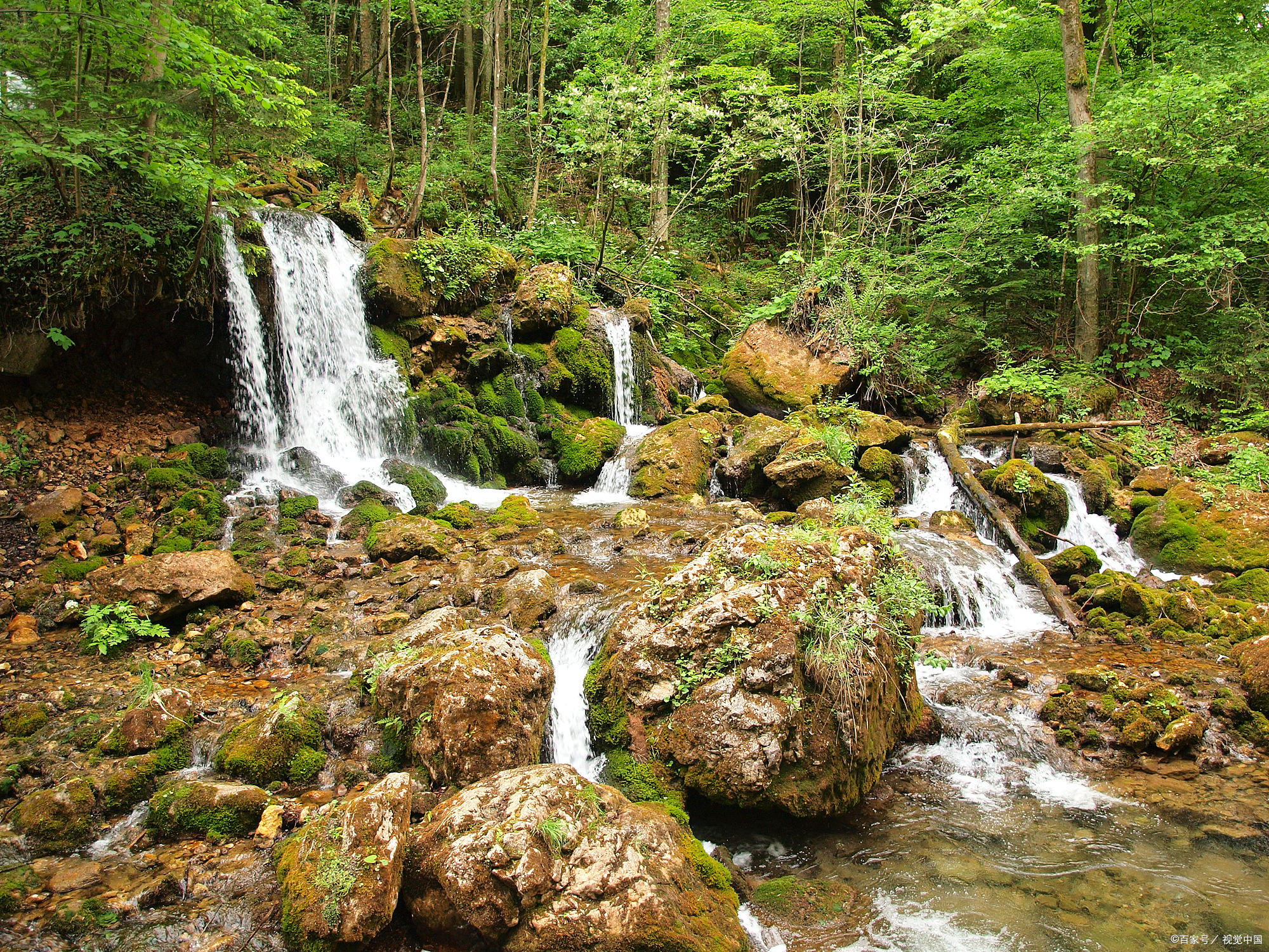 成都崇州鸡冠山的森林,原始森林瀑布溪流,天然氧吧!