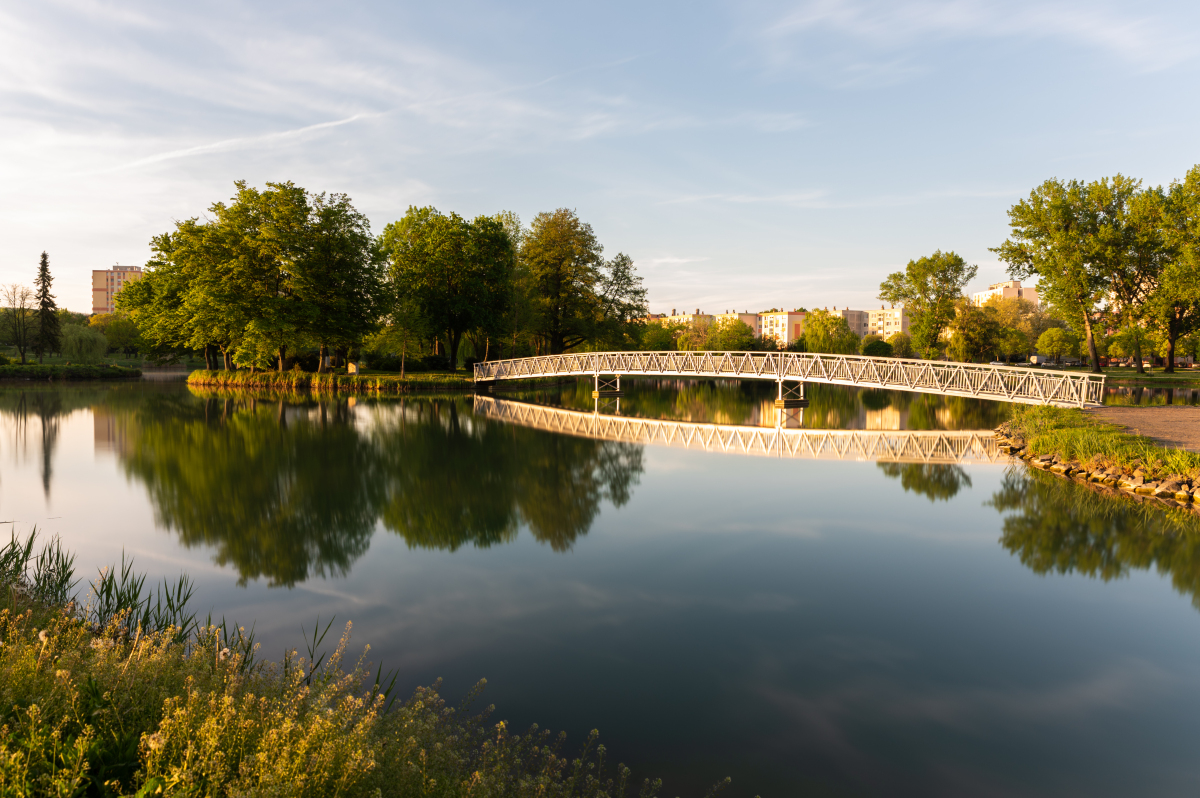 三桥湿地公园位于南京雨花台区,邻南京长江三桥,为江滩湿地综合治理