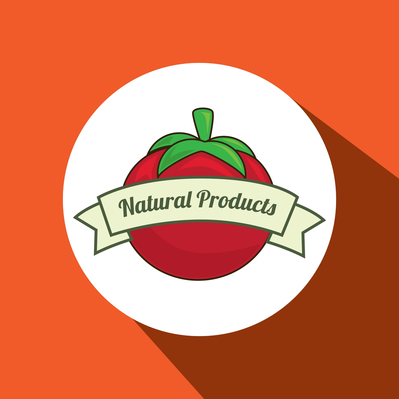 推荐使用番茄todo和小睡眠管理时间;不背百词斩帮助记忆词汇; 飞书与