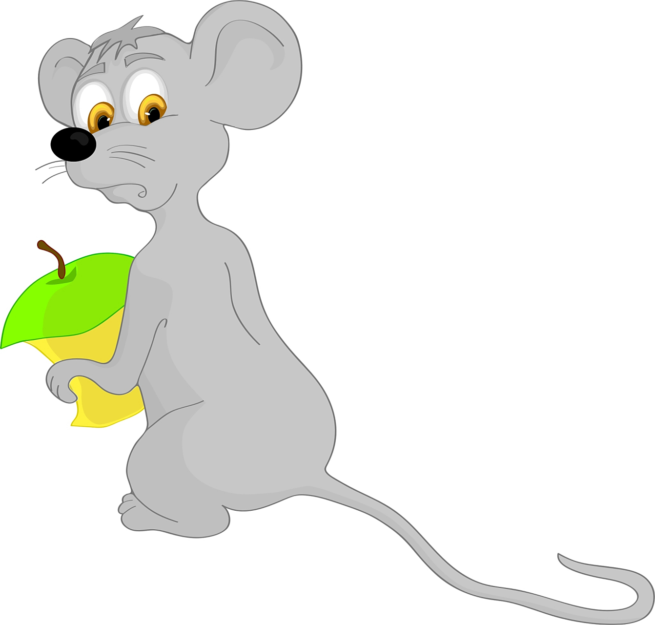 生肖中属鼠的人,被赋予了灵活,目光敏锐,尽职尽责,工作努力的特质