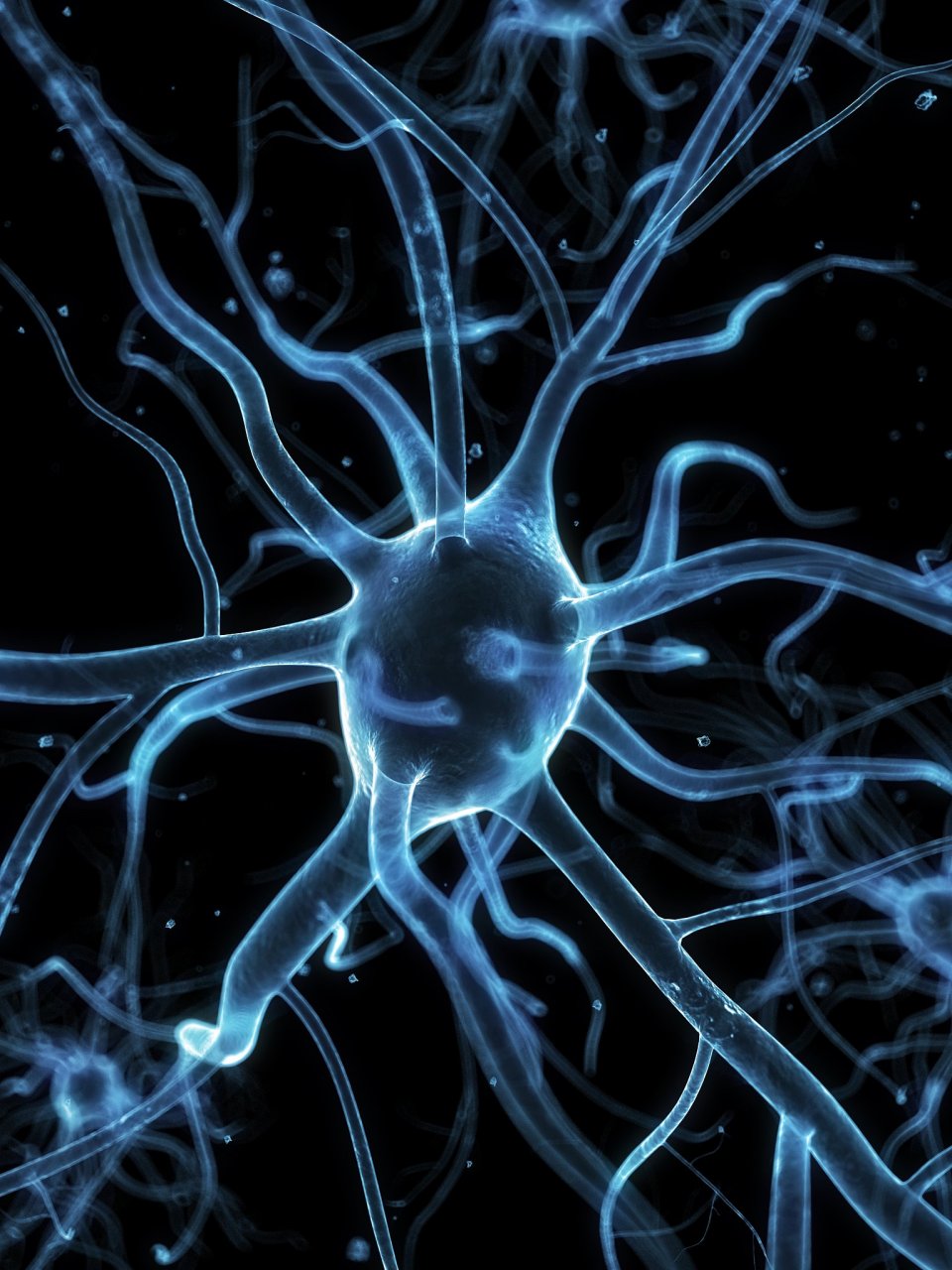 神经元:认知和行为的基础,探索神经元的结构和功能#科普#