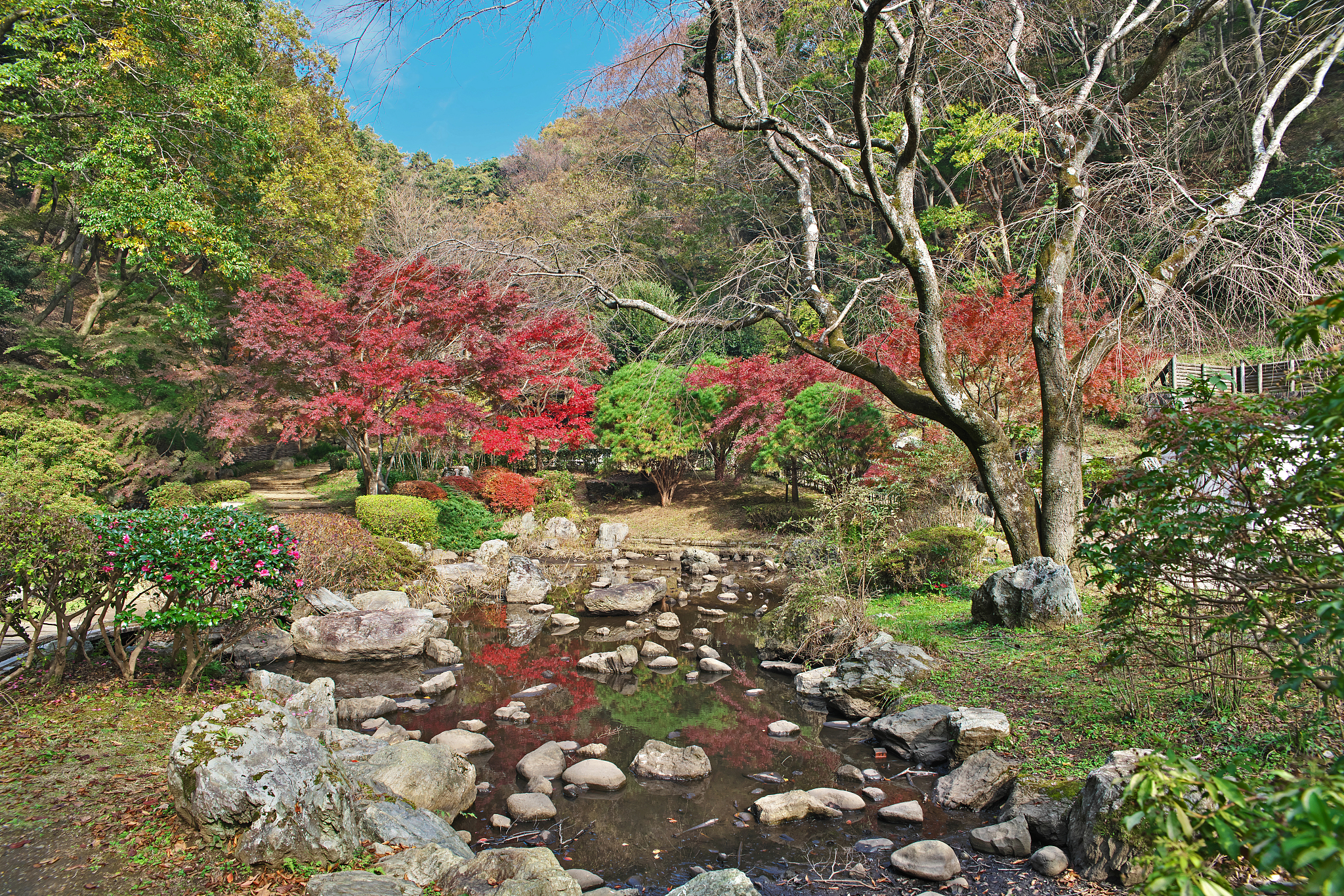 九江市的庐山花径风光如何,适合徒步旅行吗?