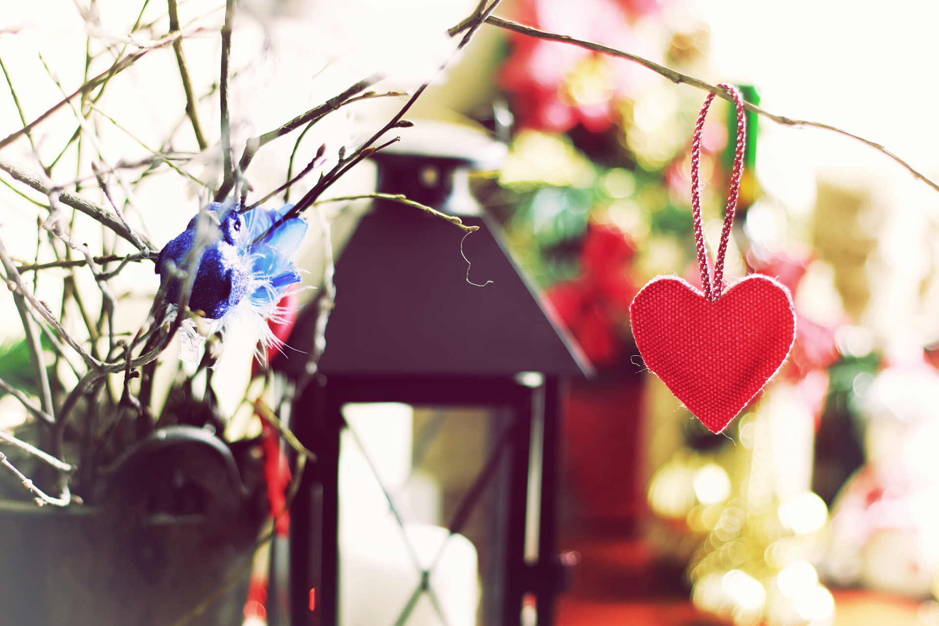 爱情是一种美好的感情,它能够让人感到幸福和满足.