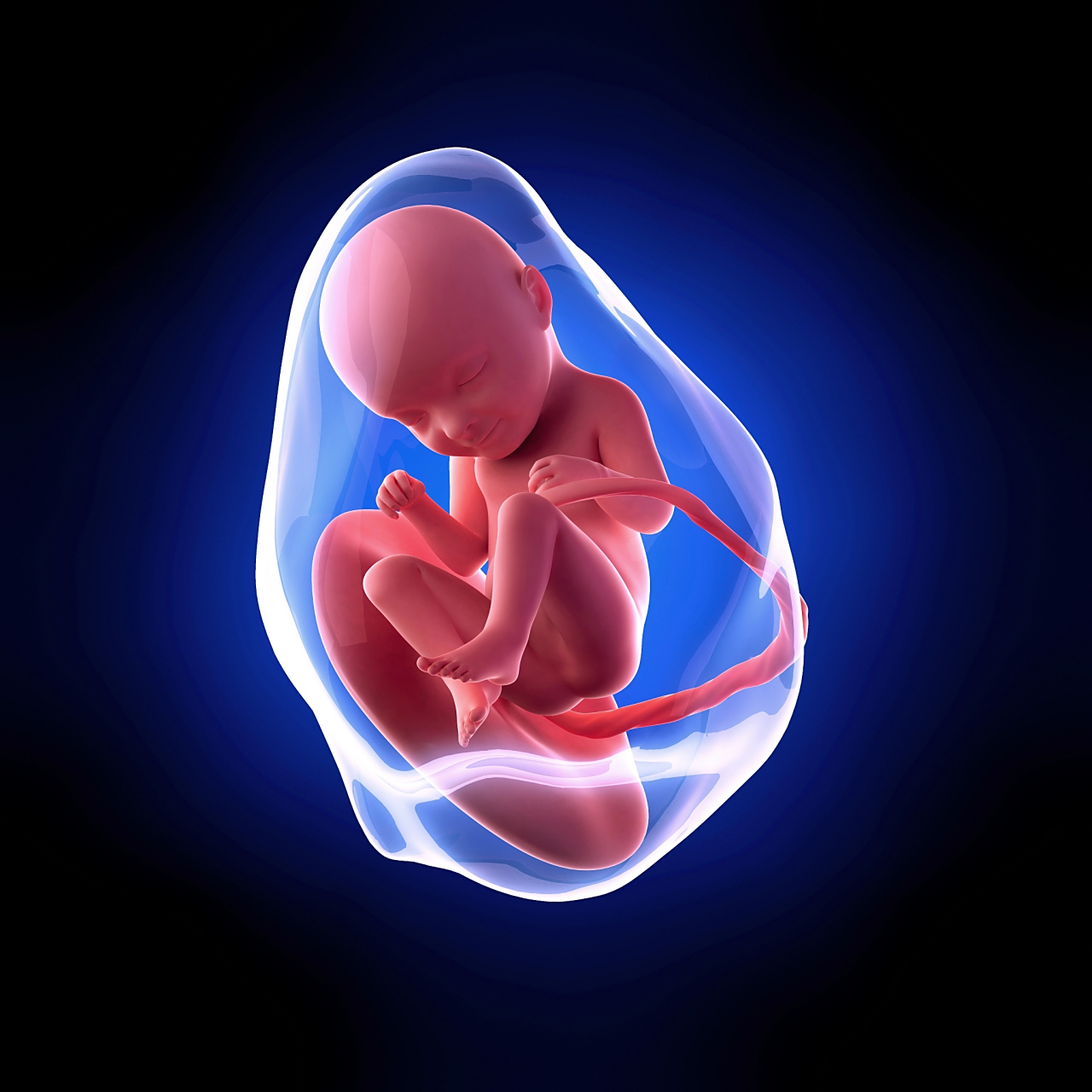 妊娠中期以后,胎儿的尿液就是羊水的主要来源,另外还有胎儿分泌的