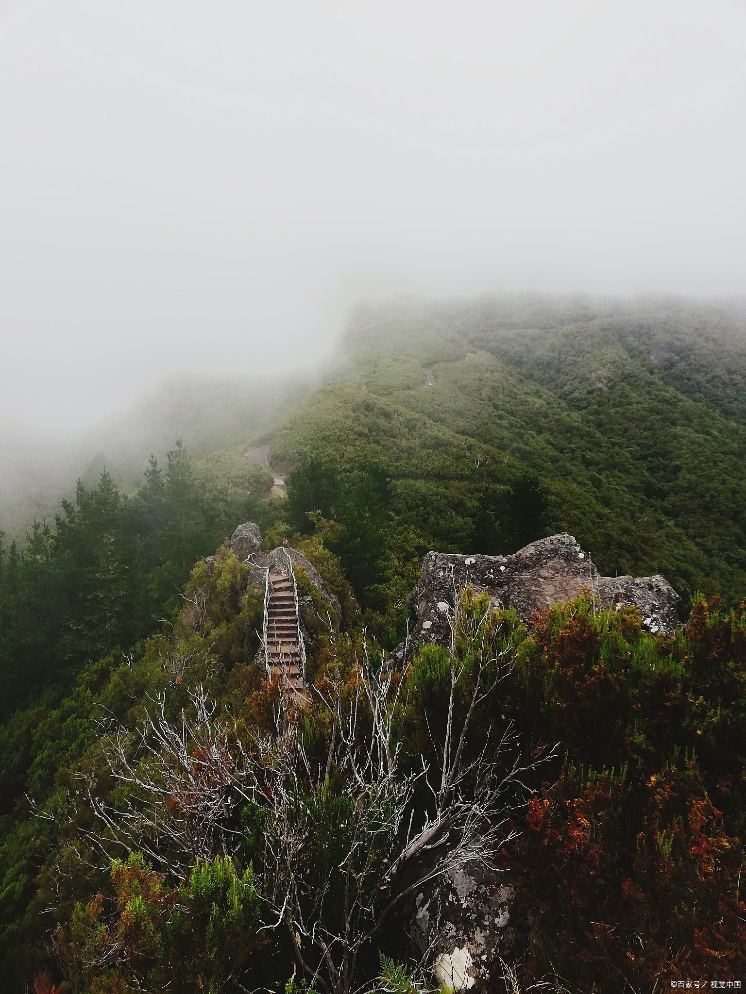 泰和最高的山图片