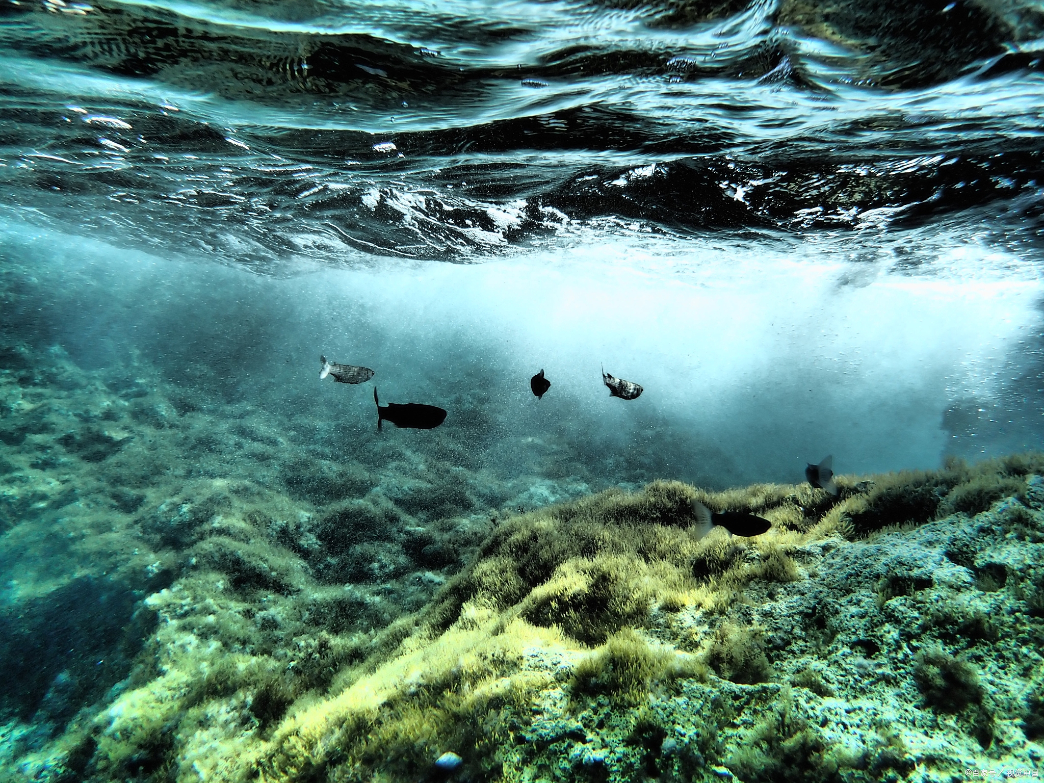 一文带你了解地球的诞生全时刻从宇宙尘埃到蓝色星球