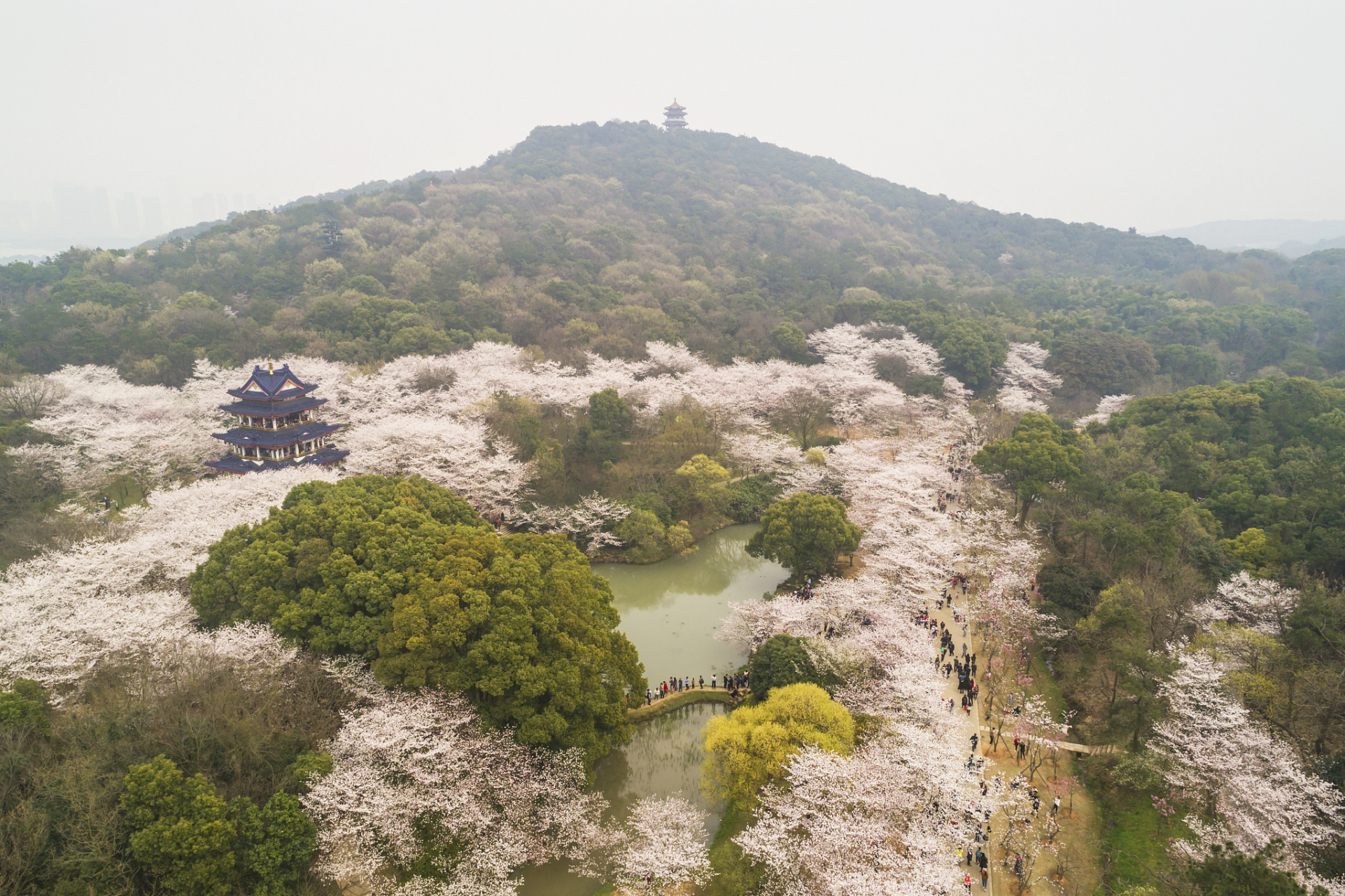 香山景区,位于江苏省张家港市,是个充满自然与文化韵味的好地方.