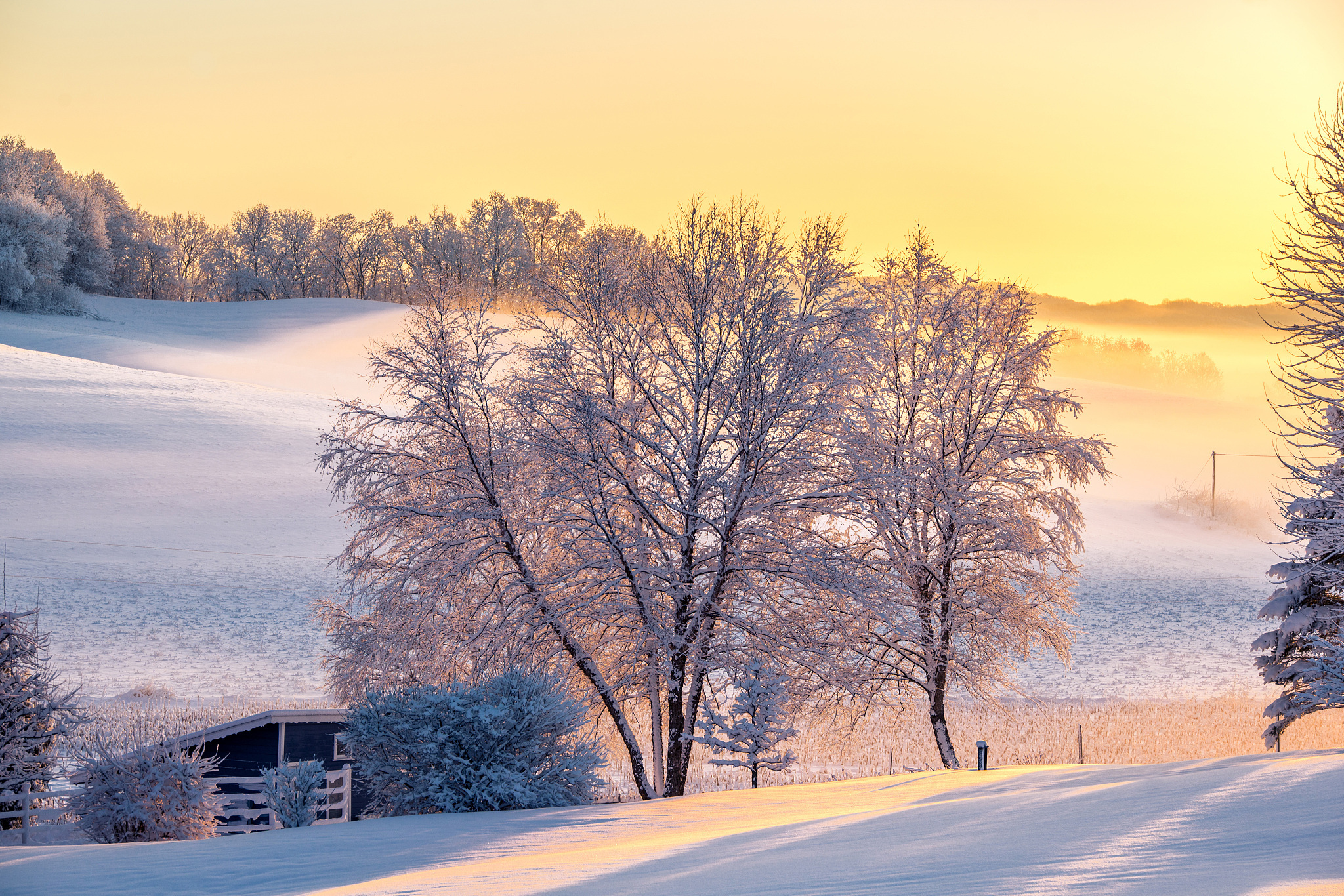 从古诗词中汲取智慧和启示,传承中华优秀传统文化,让冬雪的美景永远留