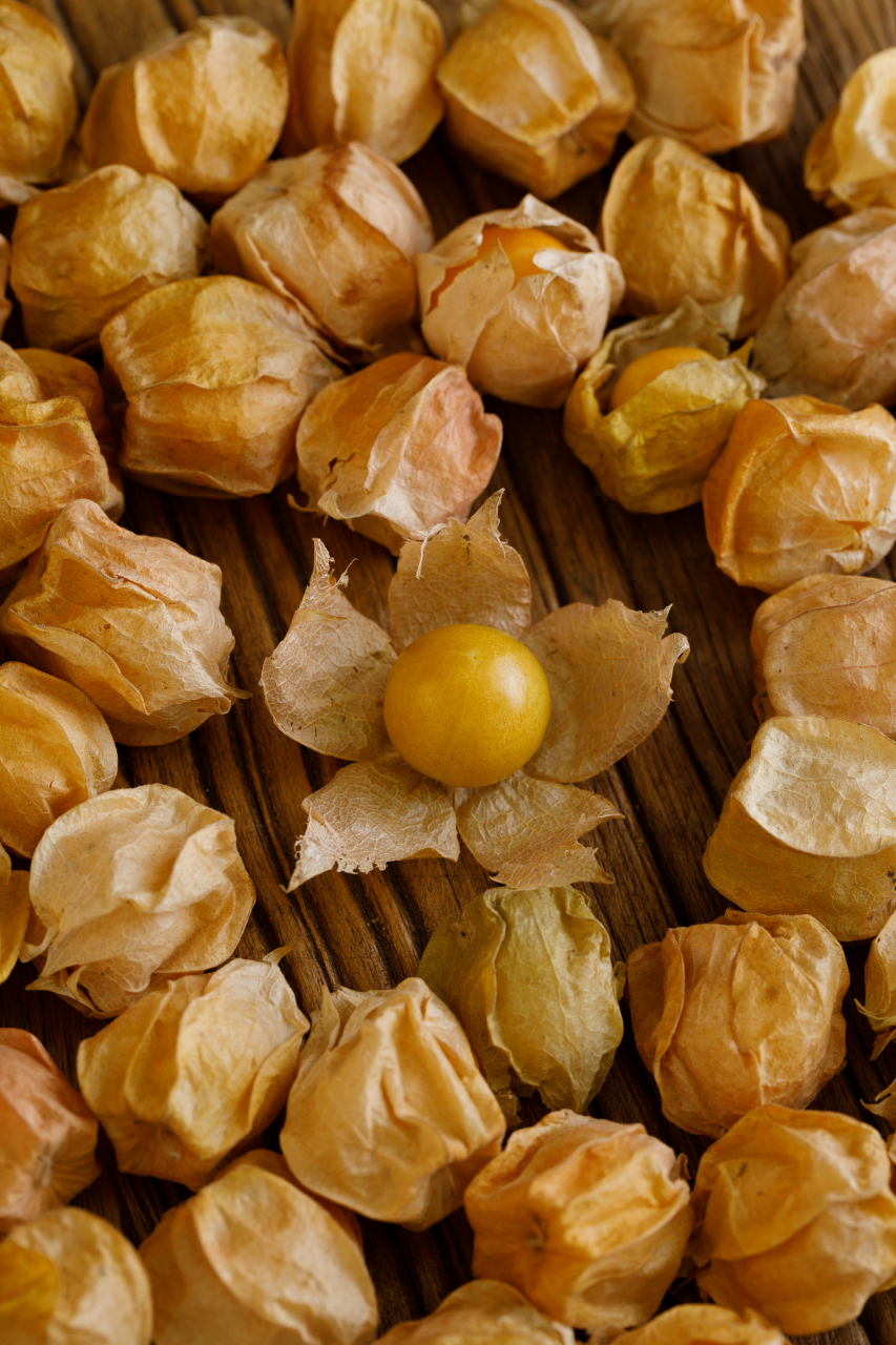 菇娘果——东北人的喜悦之源 入秋以后,东北街头的水果摊上,也冒出来