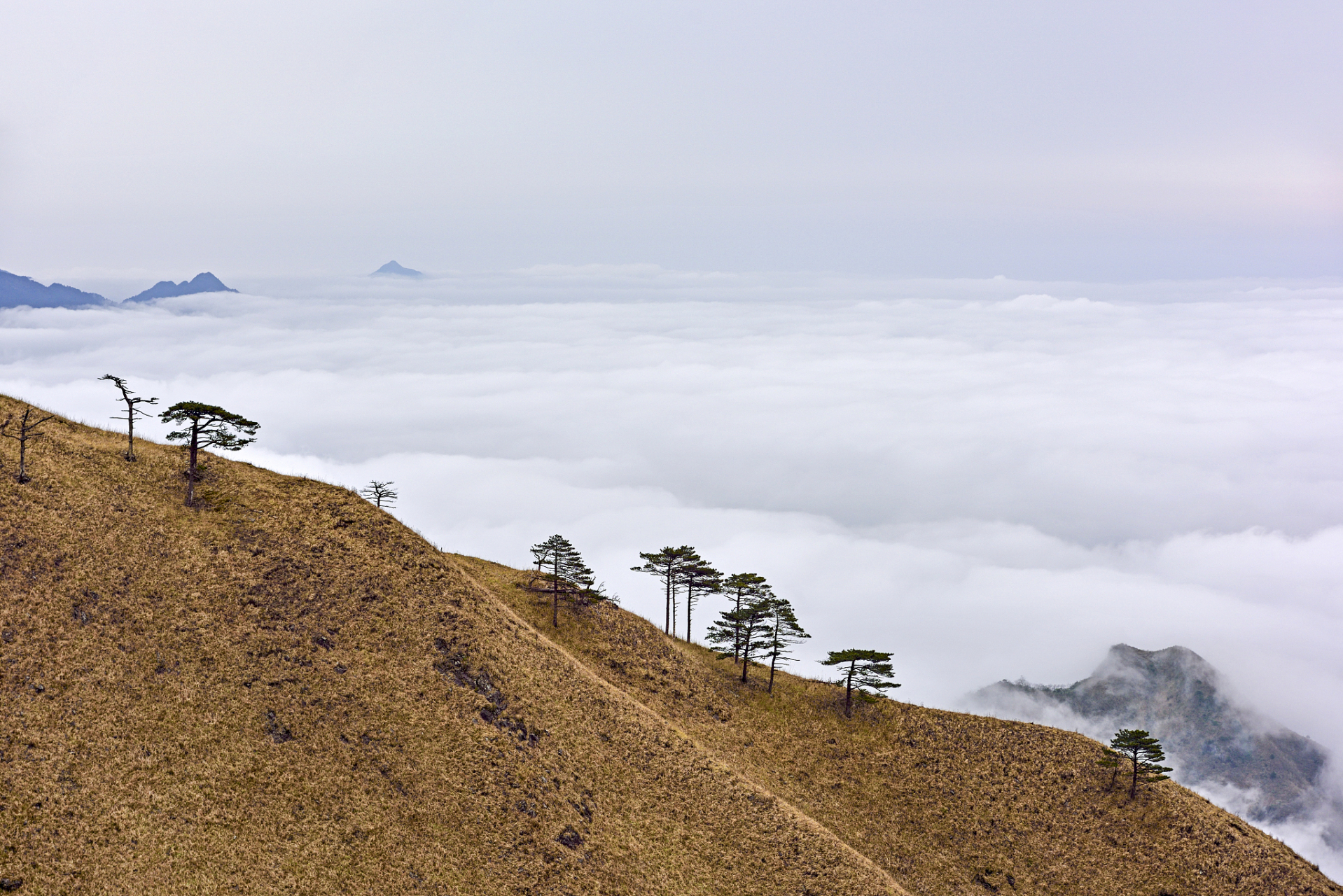 武功山白鹤峰图片