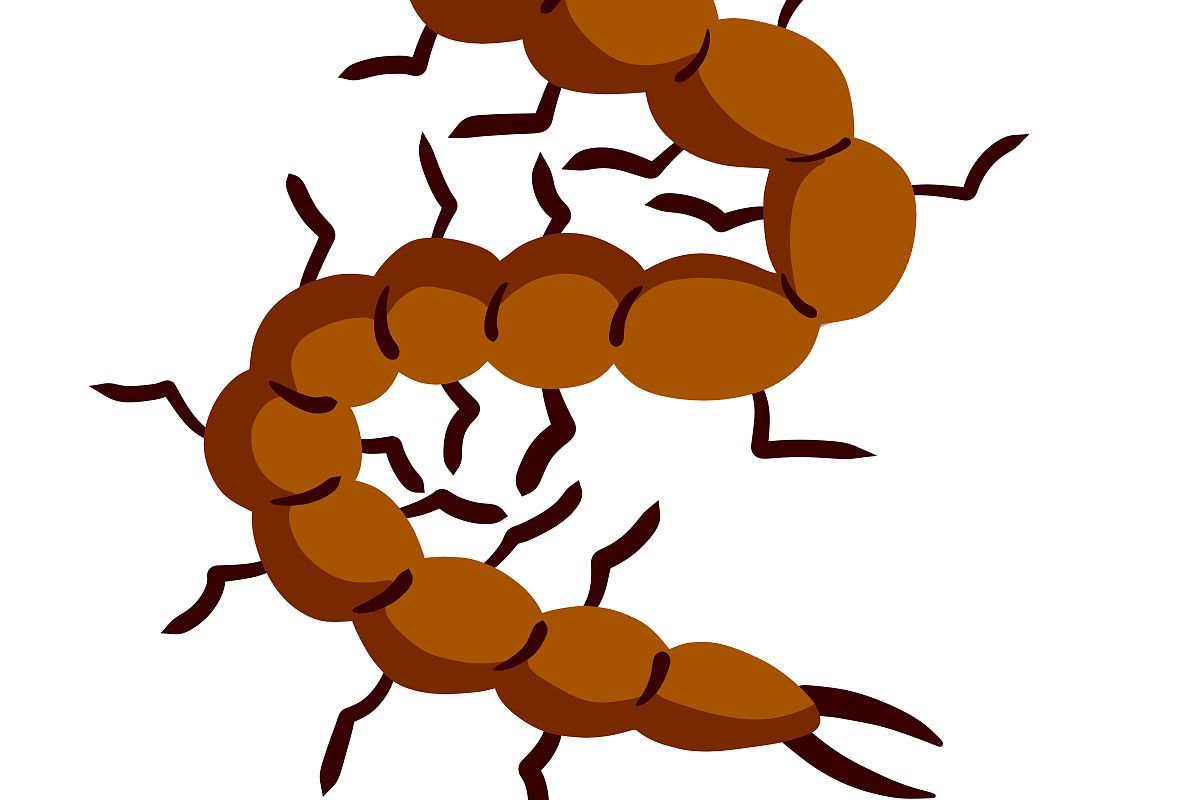 然而,在婆婆病重需移植肾脏的时刻,小丽决定捐肾救婆婆