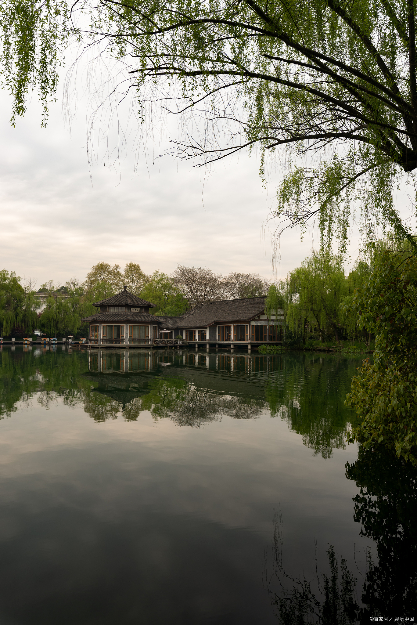 柳浪闻莺垂髫图片