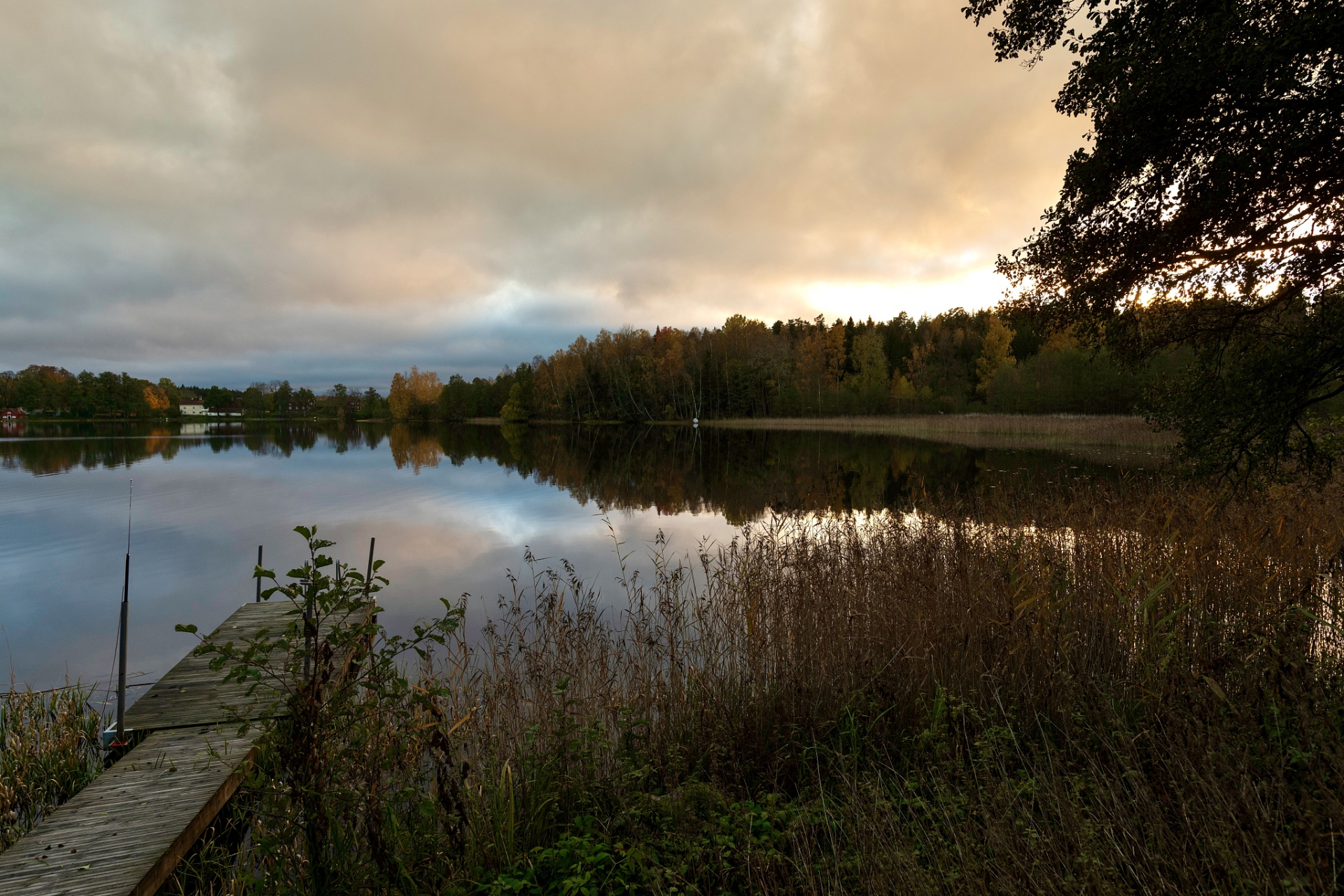 梭罗《瓦尔登湖》.