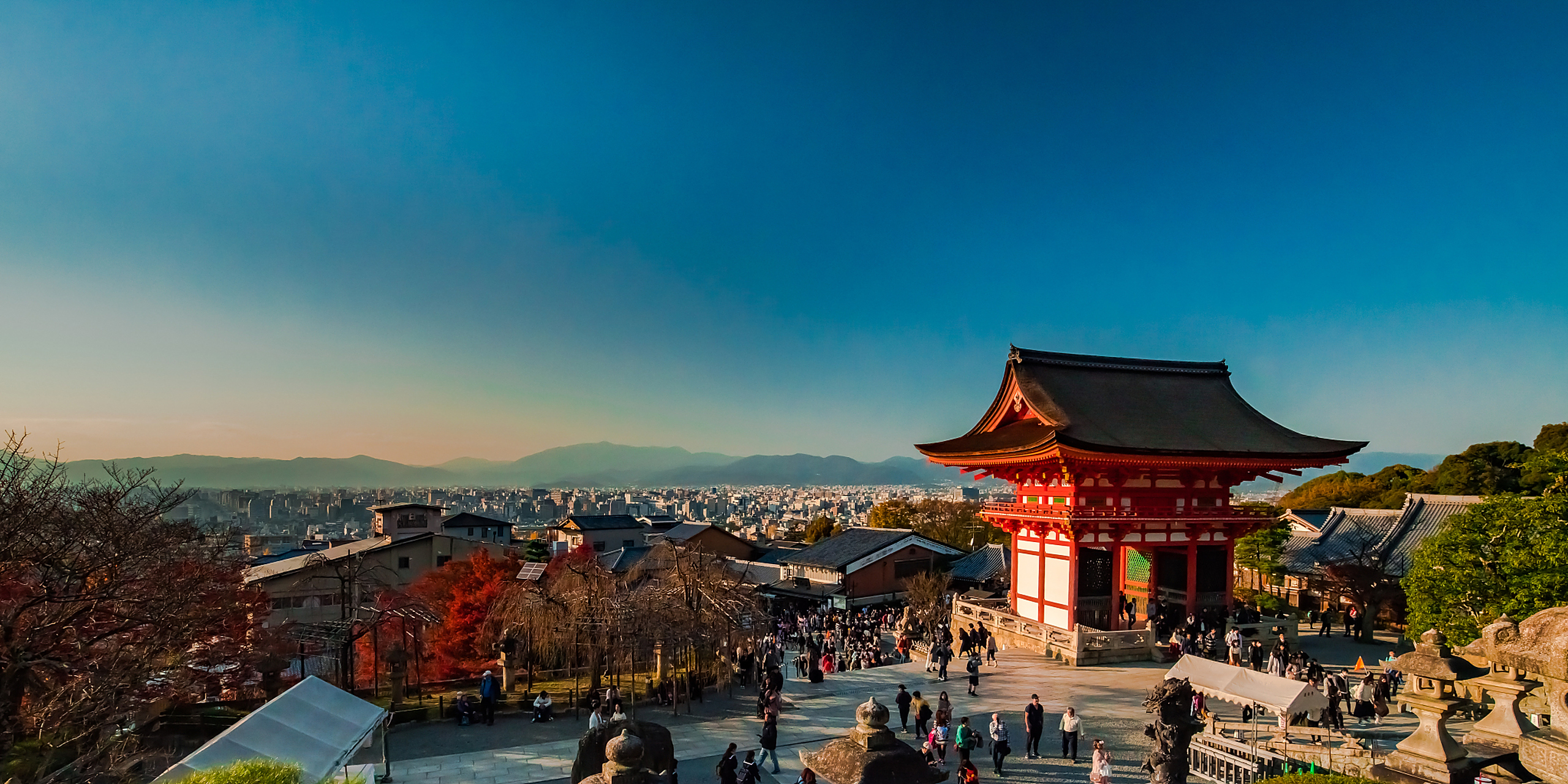 动态30天打卡挑战# 京都的古老寺庙,传统茶道和美丽的樱花季节,是