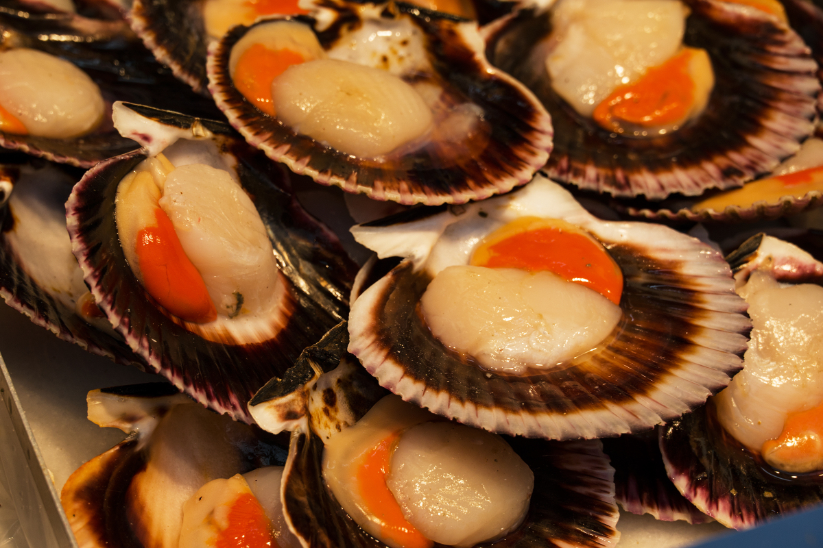 有一道独特的美食,它的名字与广州的历史紧密相连,它就是阿一鲍鱼