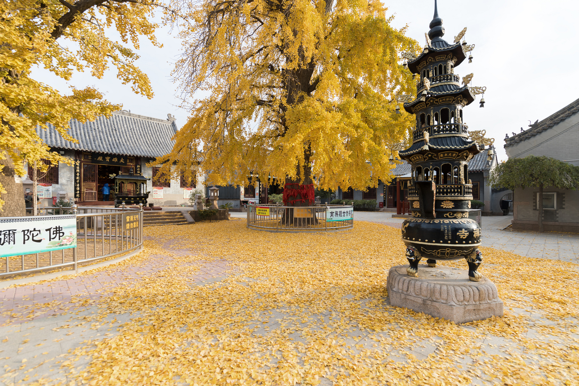 在青岛城阳区的源头村,有一座名为法海寺的古寺.