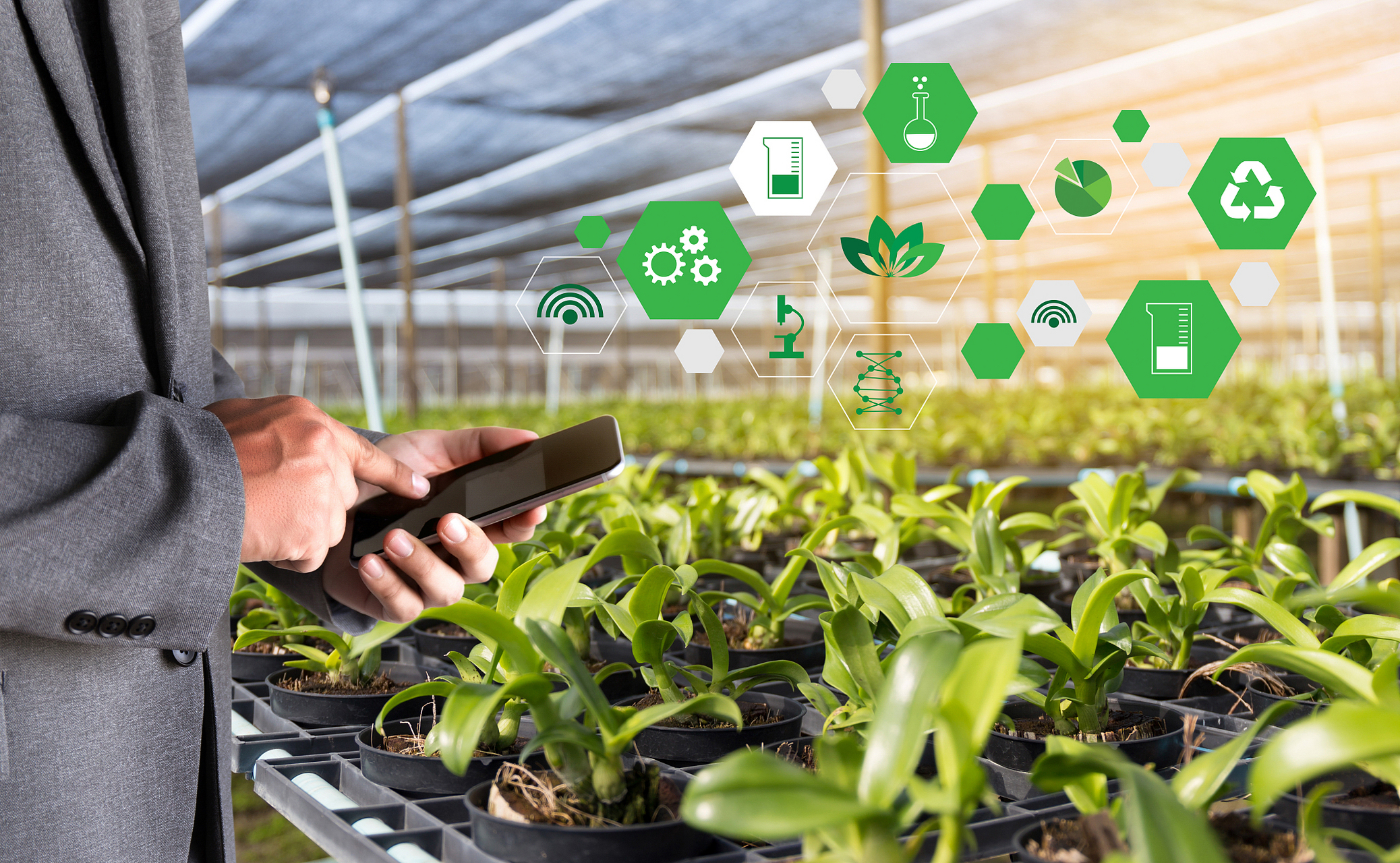 搜索话题8月争先赛# 人工智能在农业领域的应用有哪些?