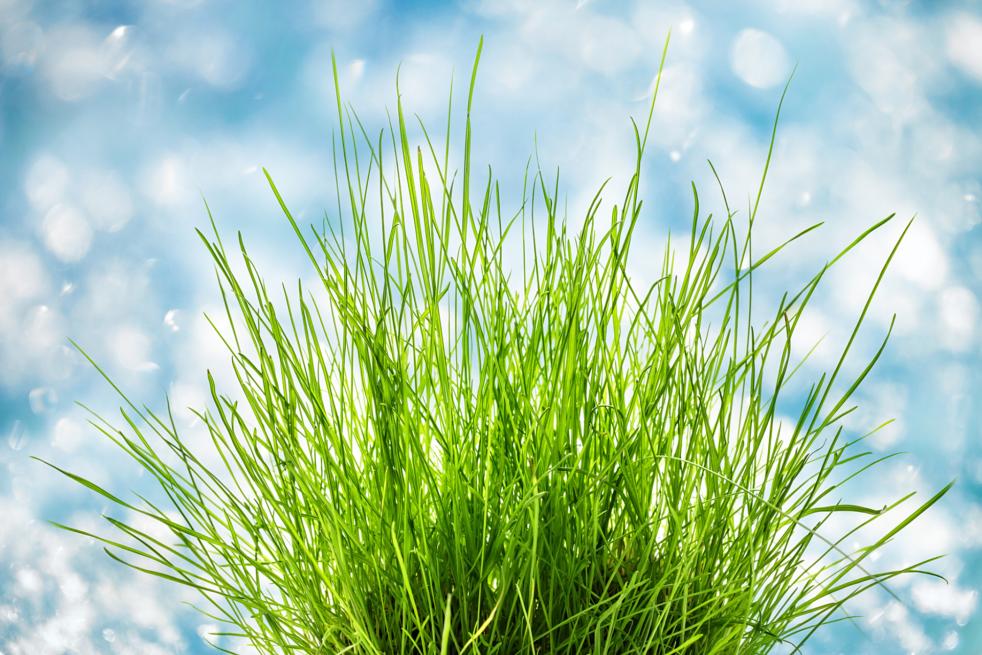 摘要:  本文介绍了中华文化中俗语"不看家中宝,只