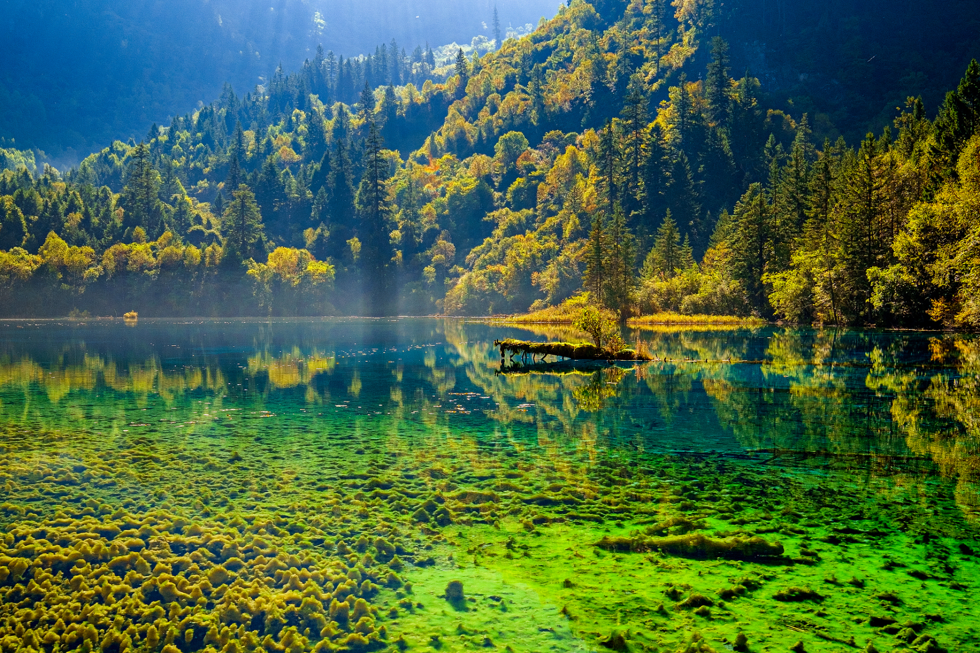 九寨沟,那是一处在秋天格外迷人的地方,位于四川省的阿坝藏族羌族自治
