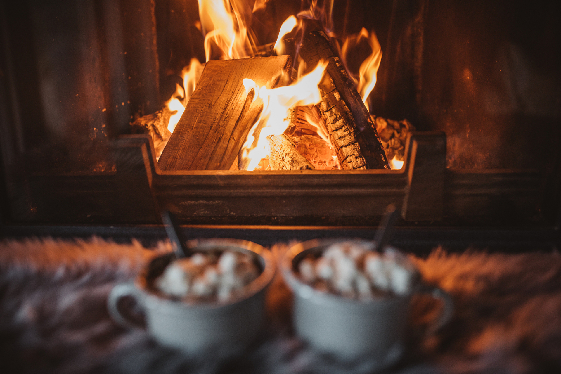 冬天最佳打开方式