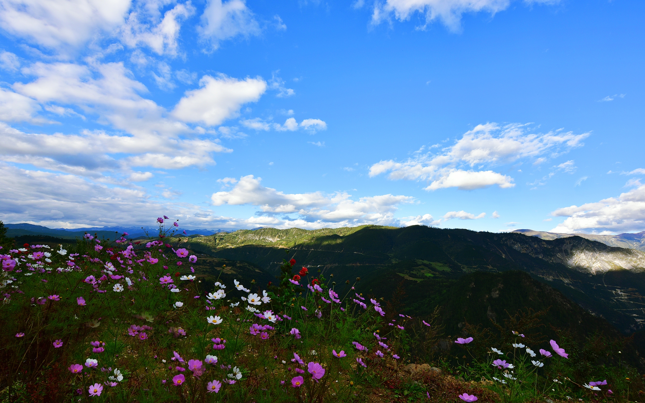 大理花甸坝由大,小花甸组成,坐落在苍山十九峰中最北的云弄,沧浪两峰