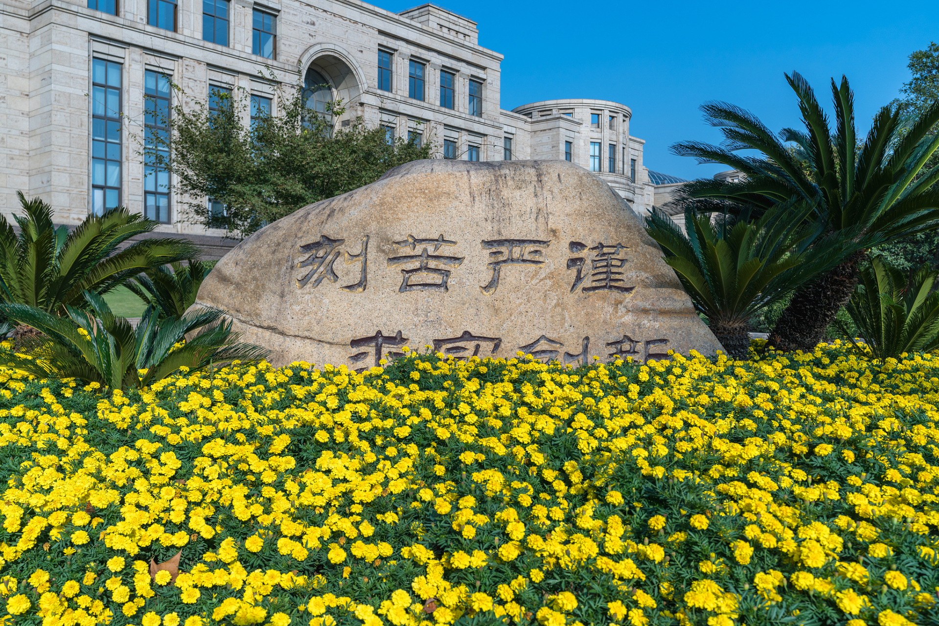 复旦大学的特色专业有哪些?