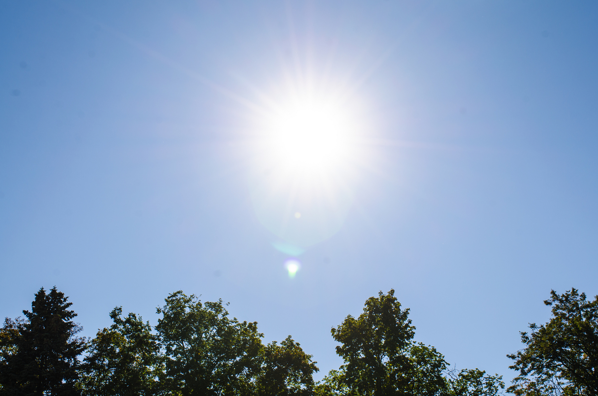 太热了!  郑州这两天大晴天!太阳底下能煎鸡蛋!  全球都是高温!