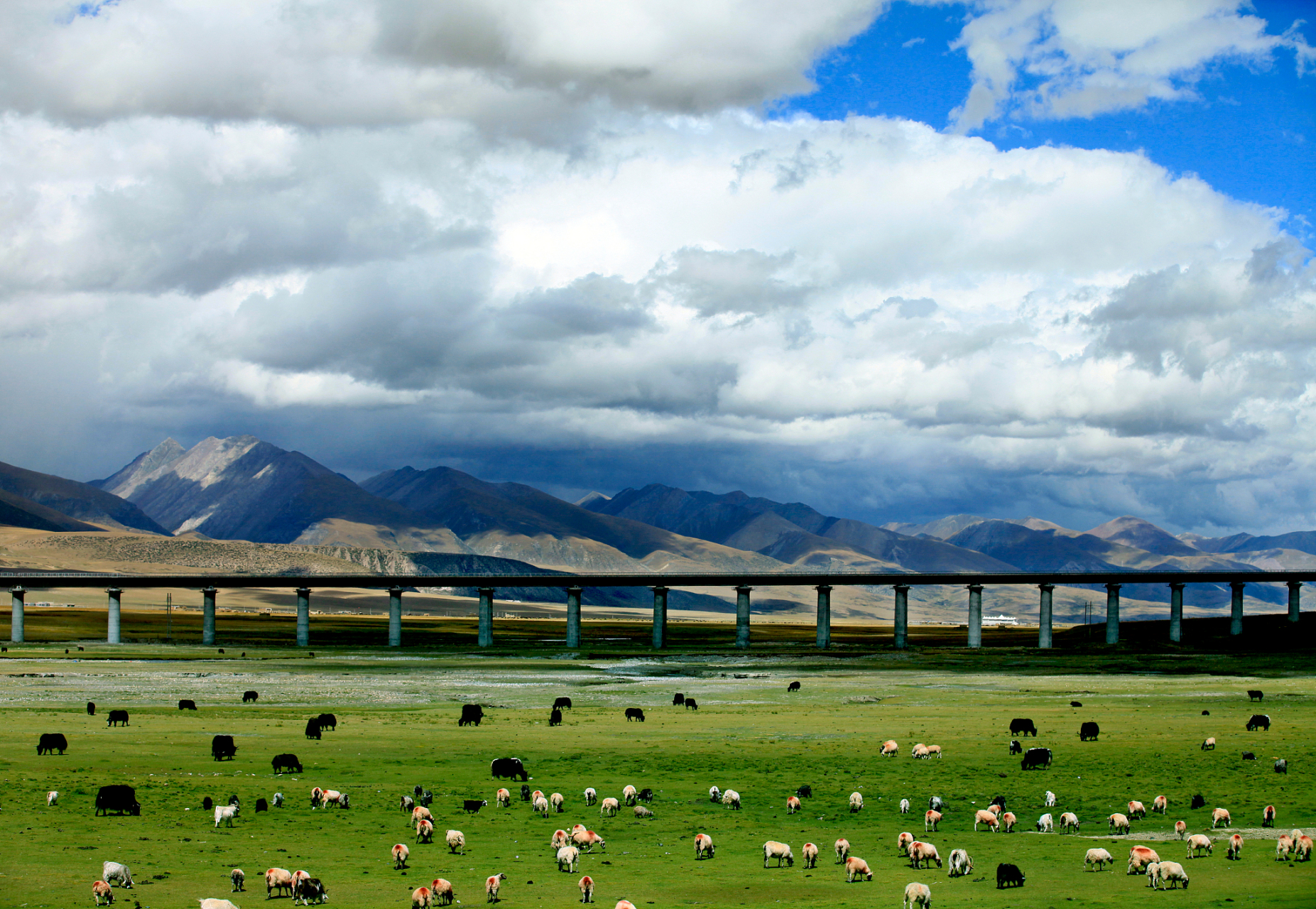 青藏铁路:连接青海和西藏的高原铁路,被誉为世界上最高的铁路线路