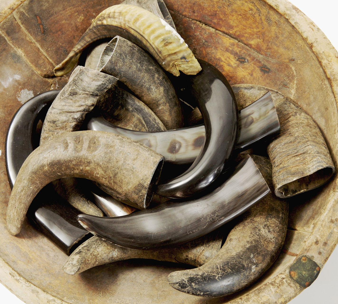 中药水牛角与生地黄治疗紫癜性肾炎,水肿,蛋白尿,肾虚不固临证验效