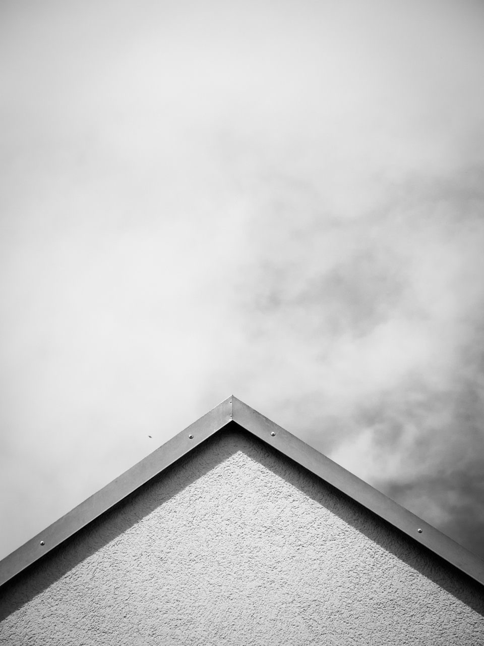 空间留白构图法是一种注重利用空白区域来强调主体并创造平衡感的