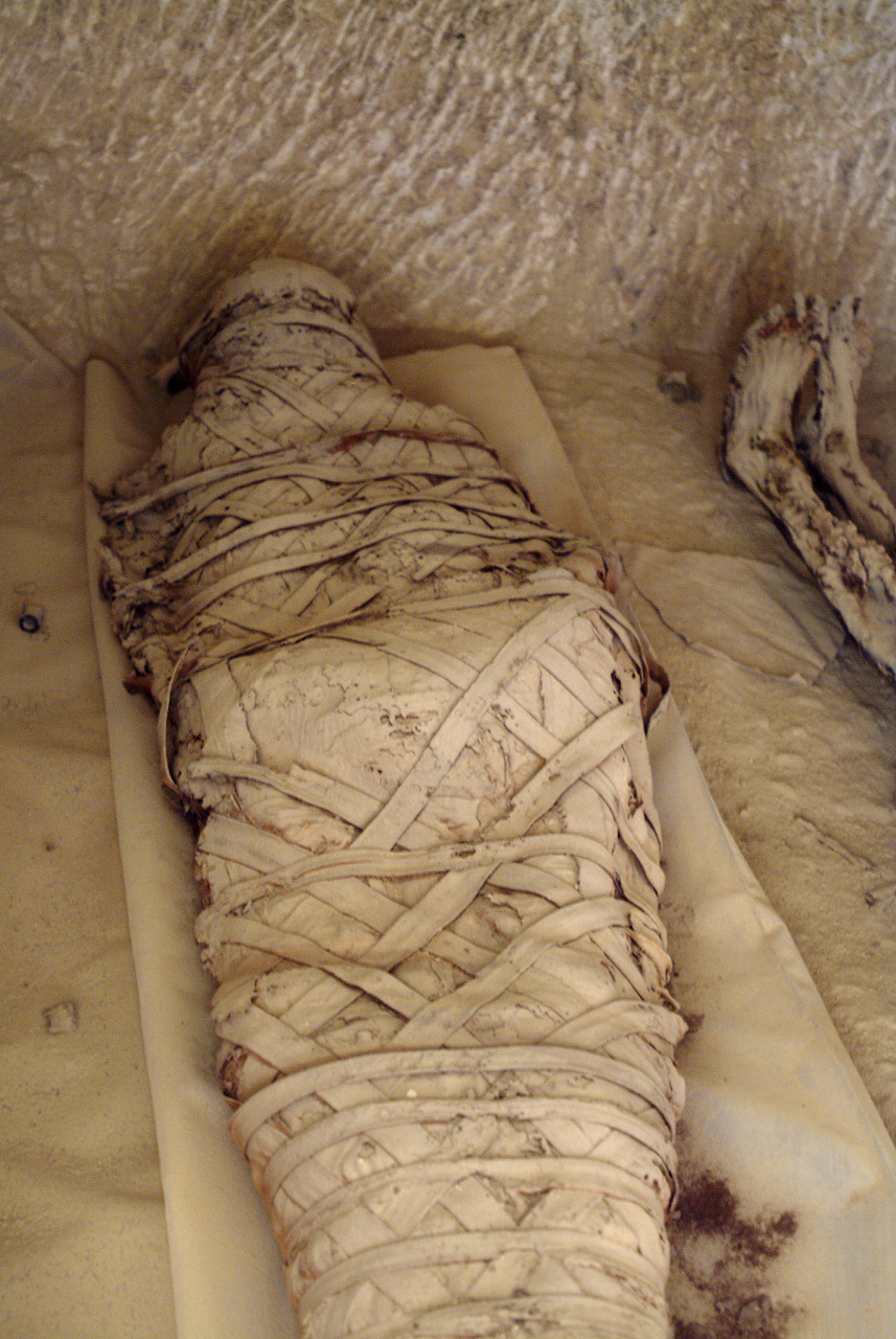 古埃及法老死后通常会被制作成木乃伊,其实木乃伊并非埃及的桌