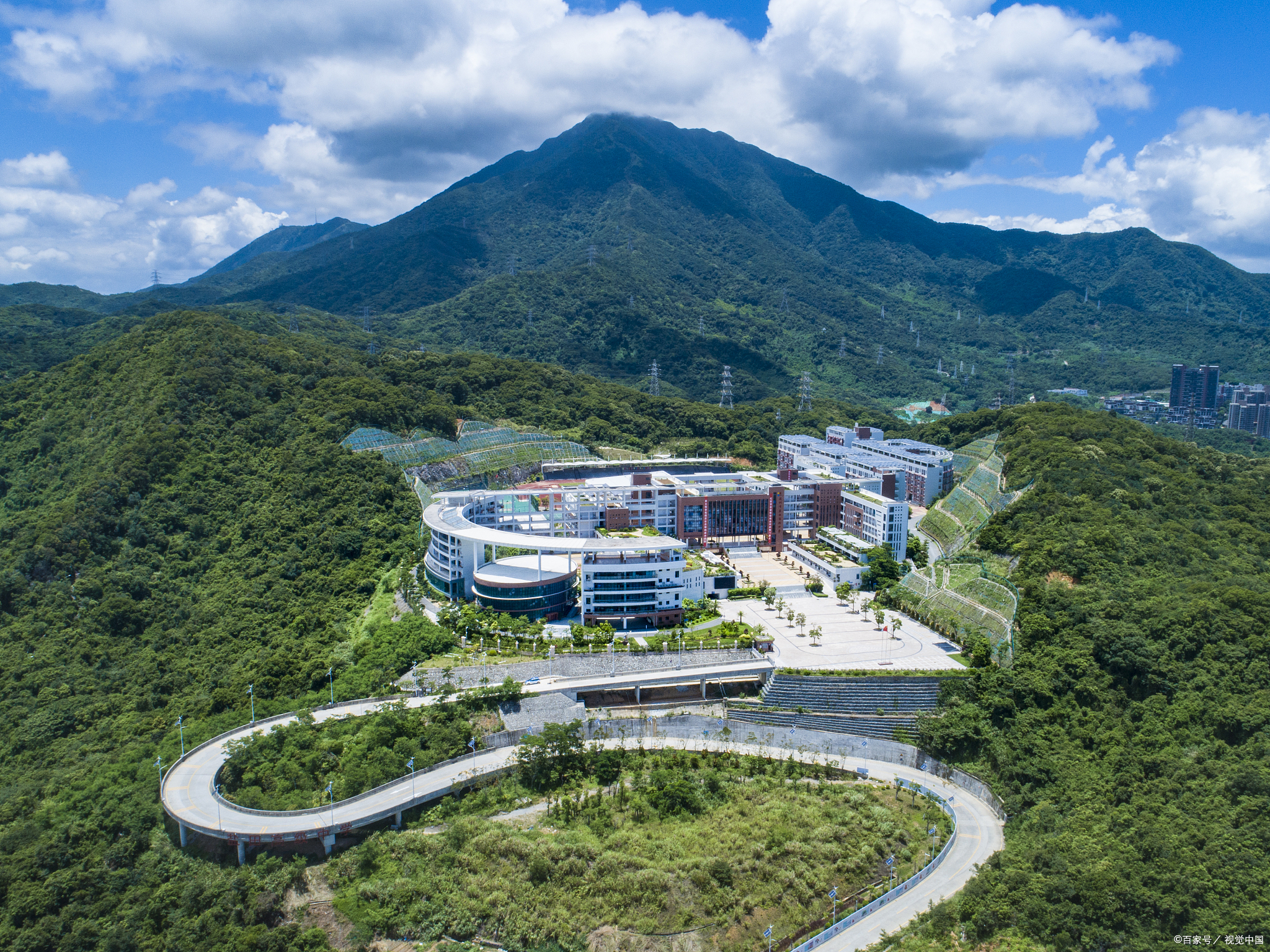 深圳大学杜鹃山图片