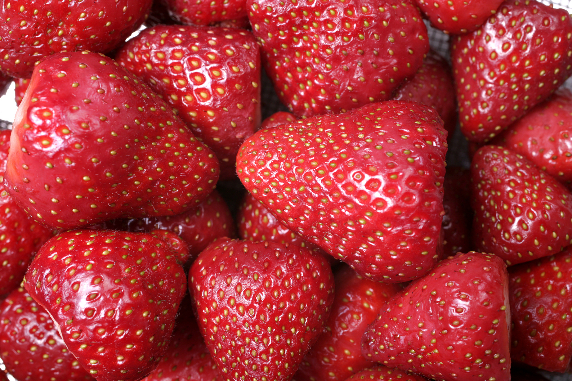 红玉草莓是一种早熟的草莓品种,果实大,甜度适中,外观颜值高.