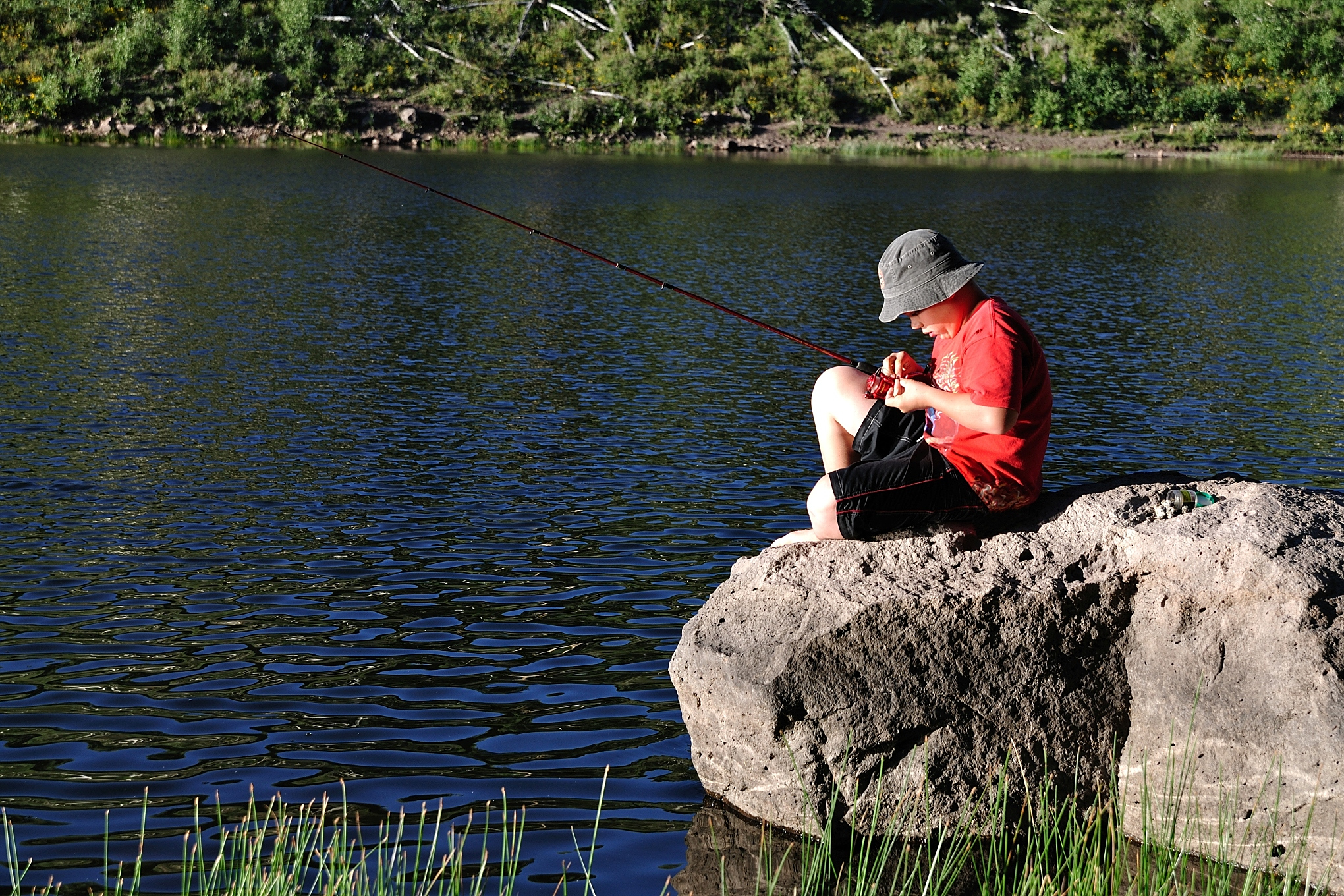 钓武昌鱼时,可使用鱼梦谷秘诱通杀饵或带有腥味的饵料,如蚯蚓,红虫等.