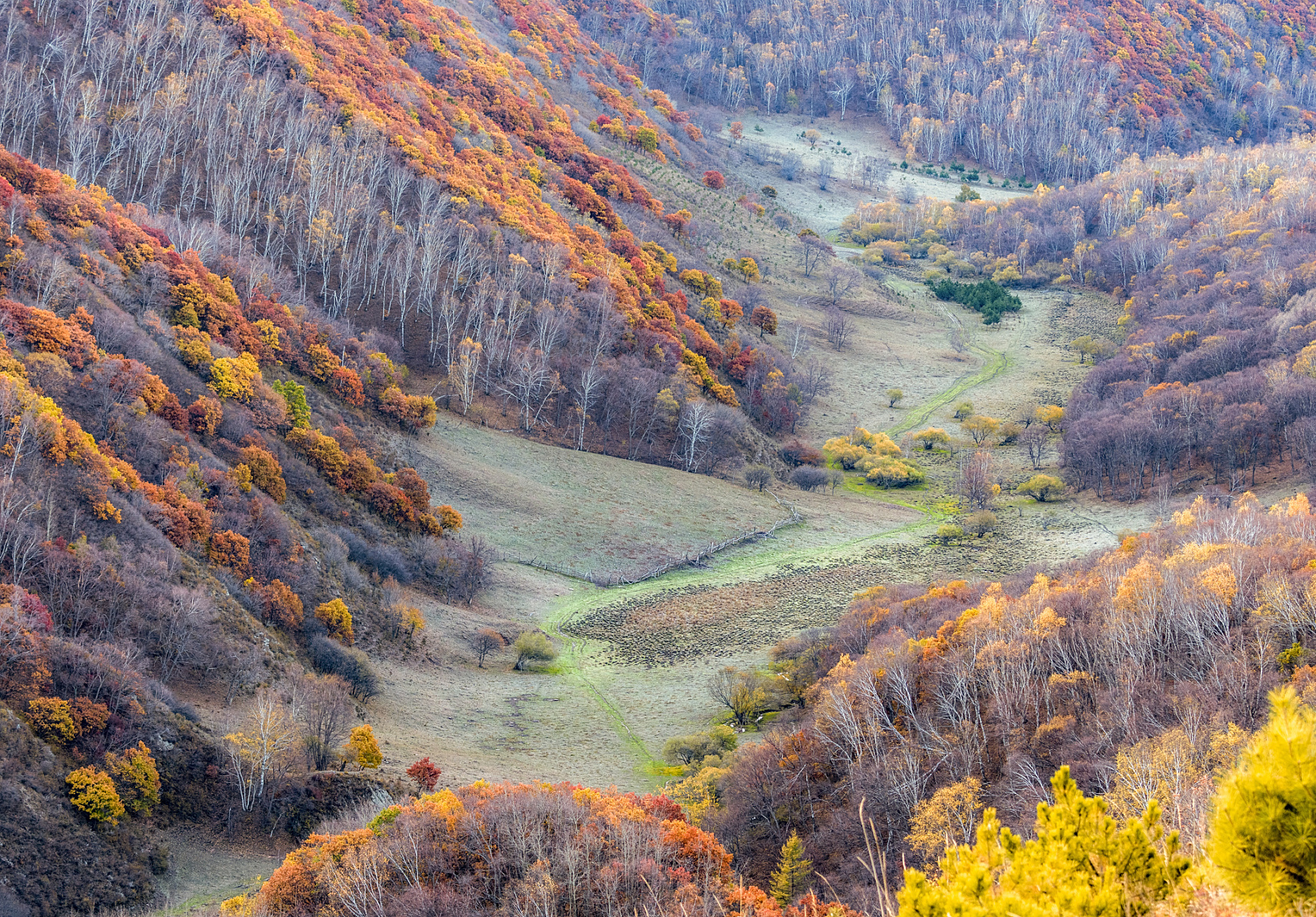 巩留县位于新疆伊犁河谷地带,拥有自然和人文景观.