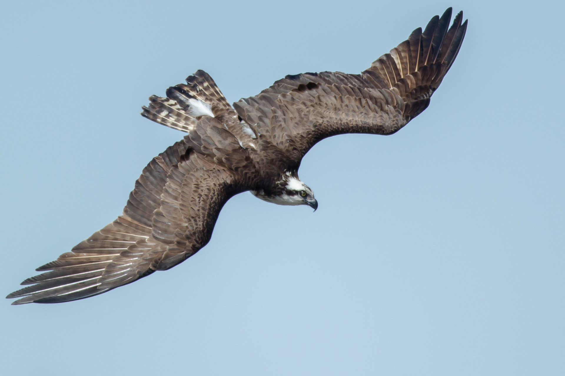 故事还要从一年前说起.