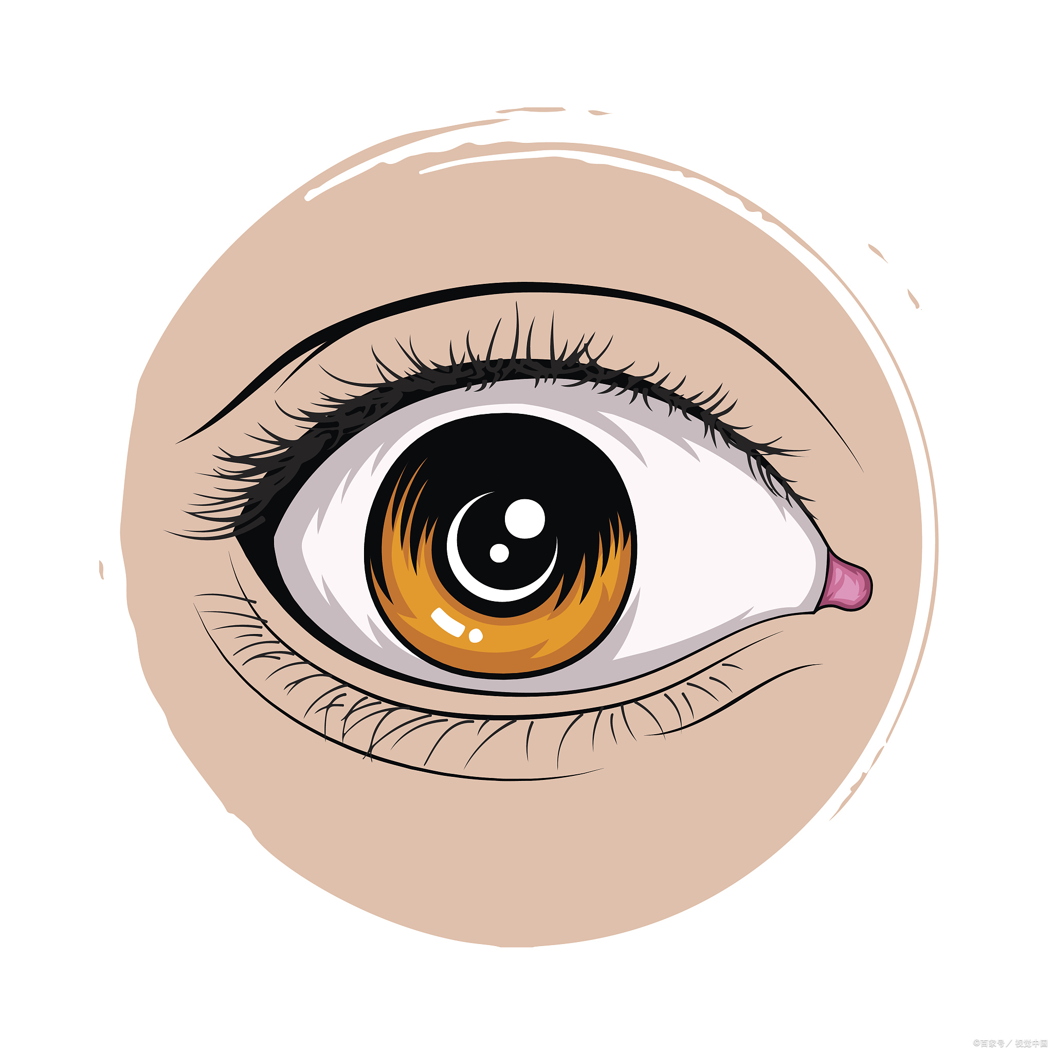 眼睛下面长个小白点是怎么回事