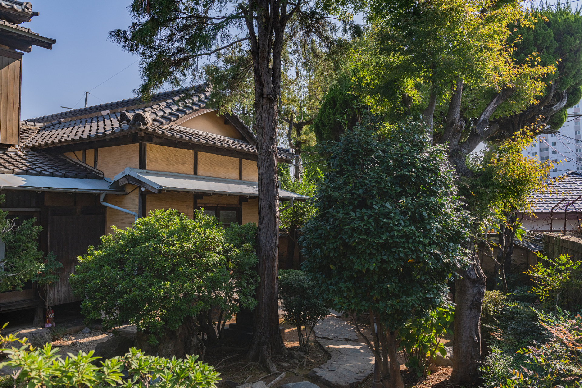 秋季来不二山房游玩,这里有精心布置的花艺,温馨柔和的灯光,以及独具