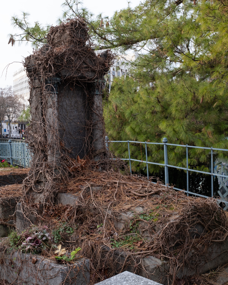 农村俗语:"祖坟三不见,子孙后代旺",是哪三不见