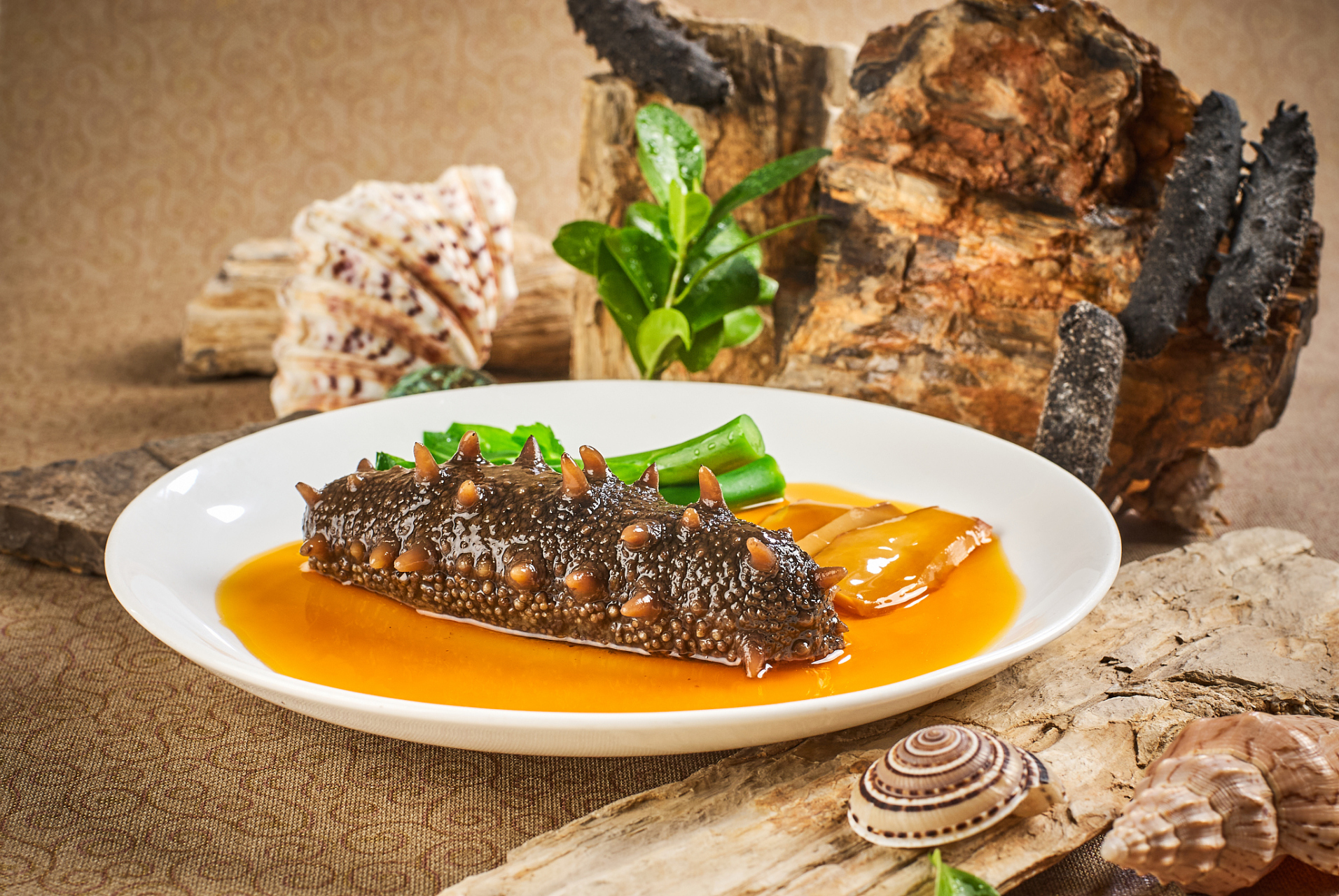 要是用海参炖鸡汤的话有什么样的功效和作用?  海参炖什么汤比较好