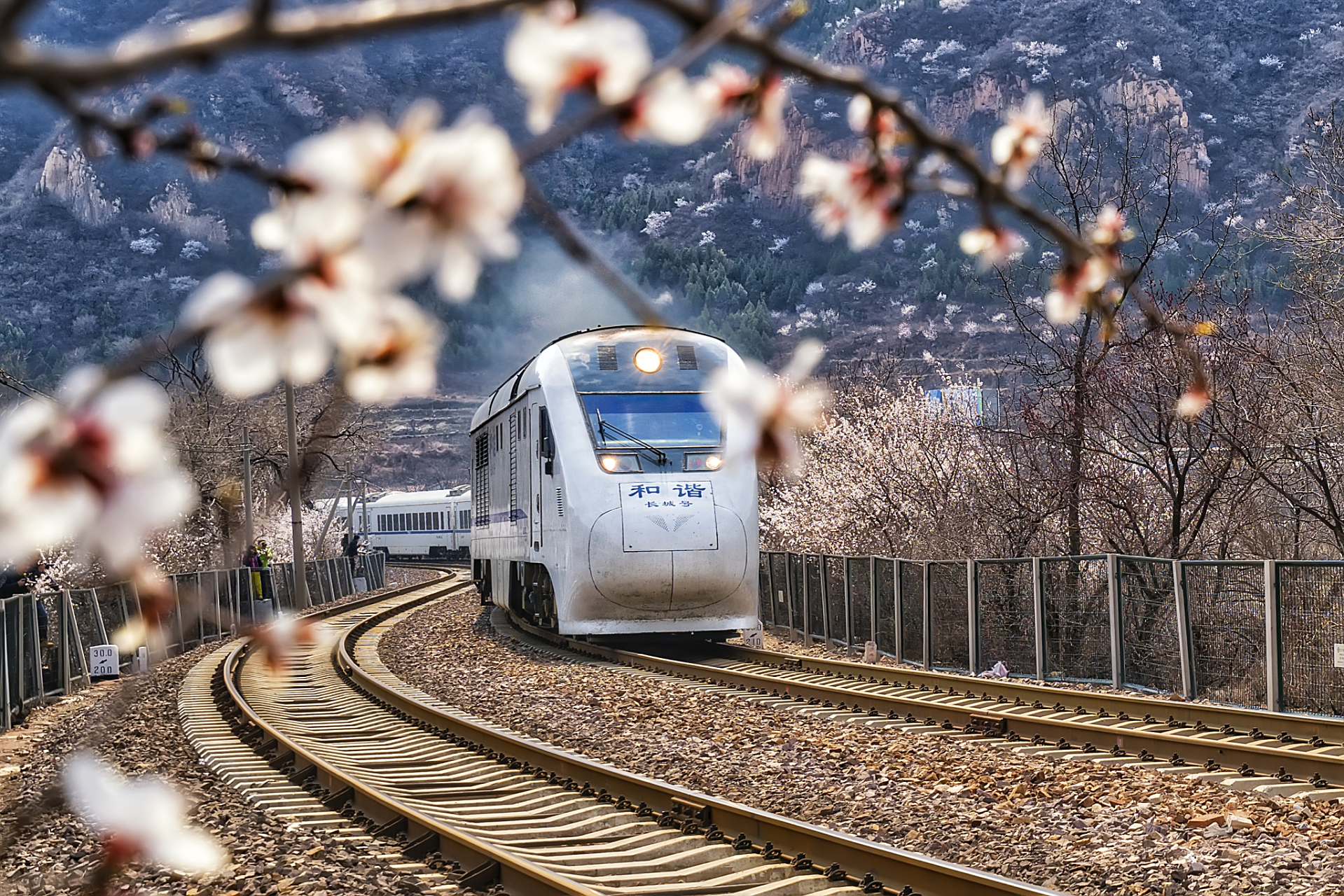 男子100万投资电影亏了96万#  搜了一下,是《通往春天的列车》总票房