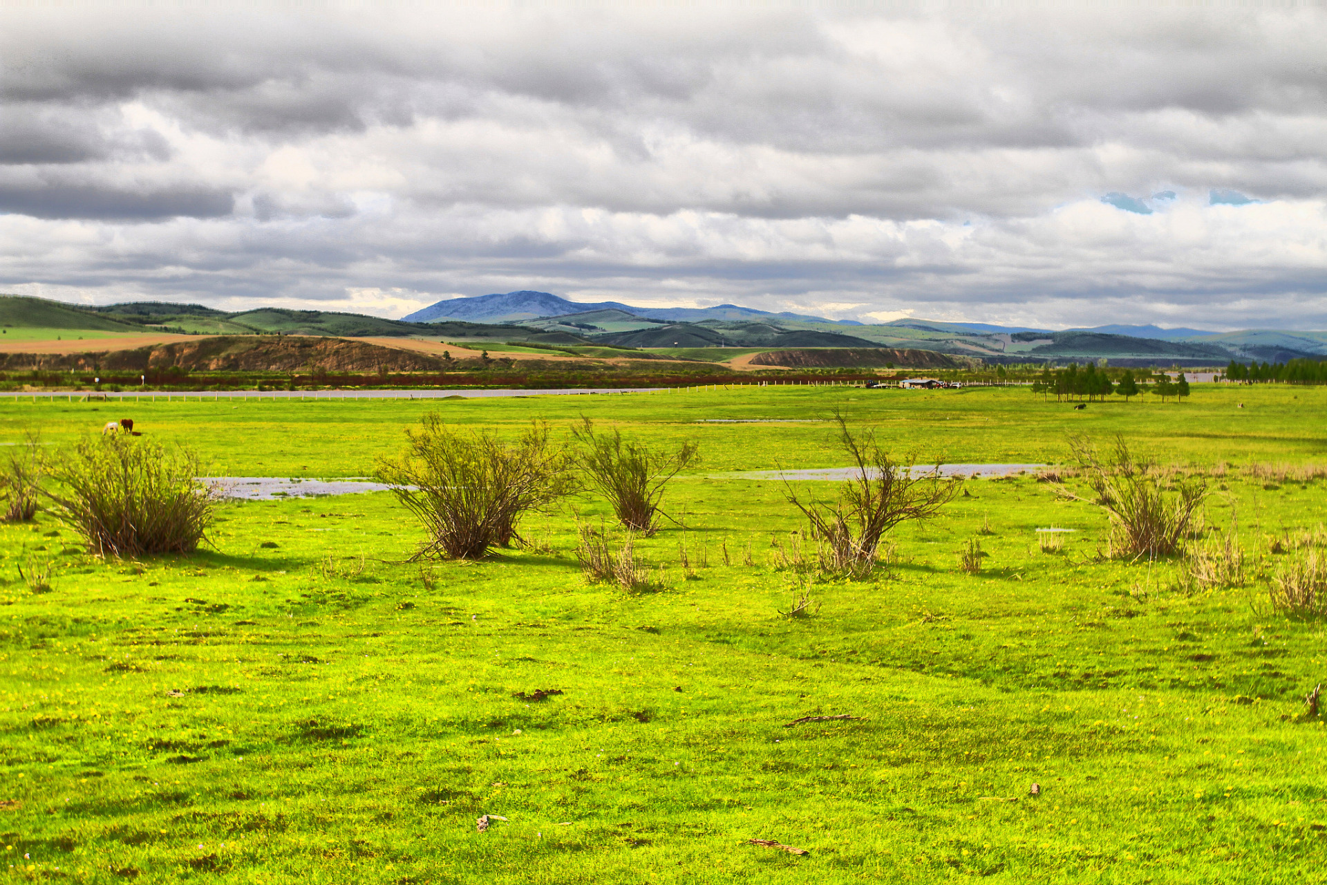 奇遇那拉提#那拉提巴里坤草原位于新疆喀什市境内,因其广袤的草原汉 