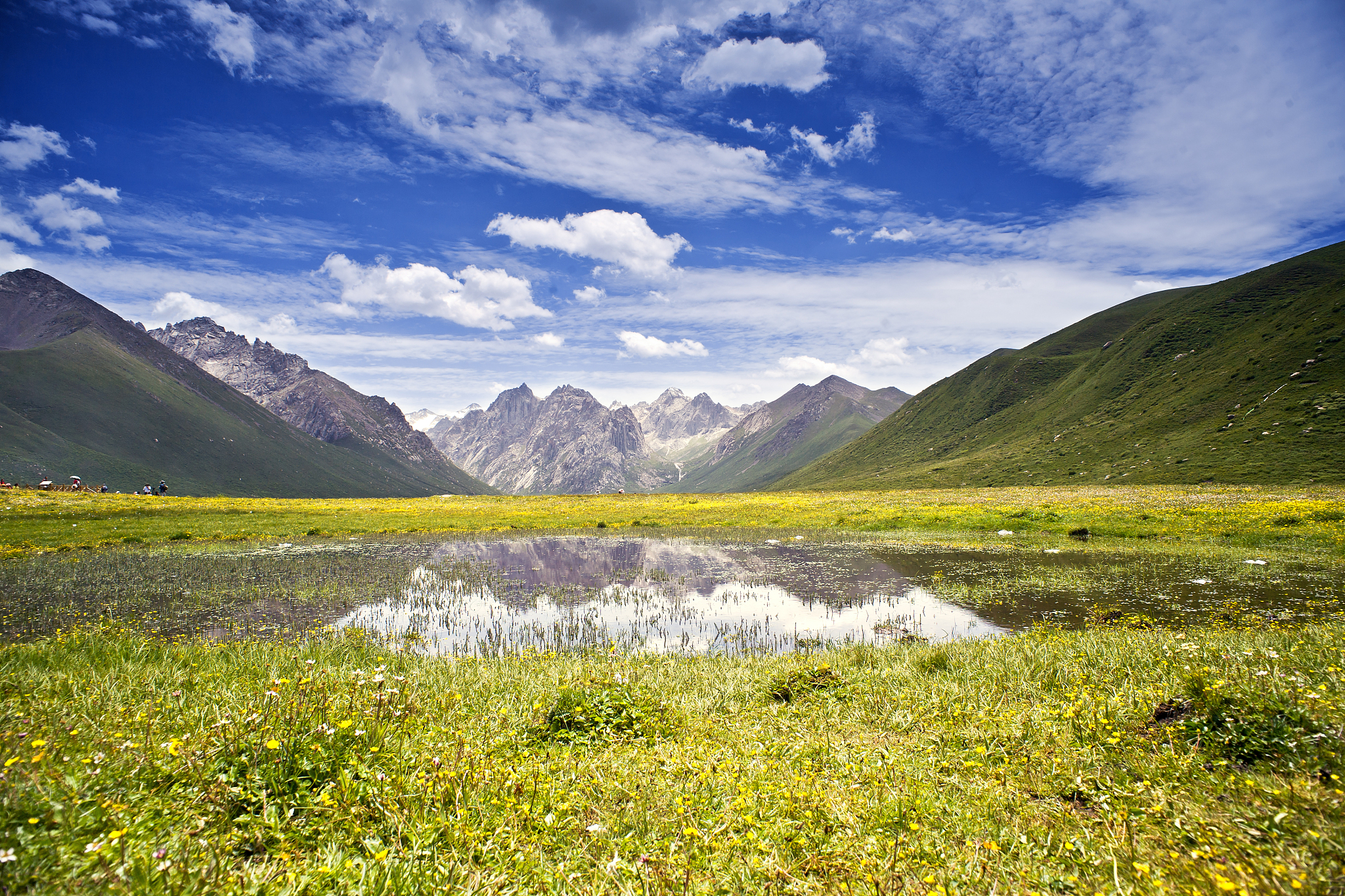 果洛藏族自治州的山川风光,夏天的自然景色如何?