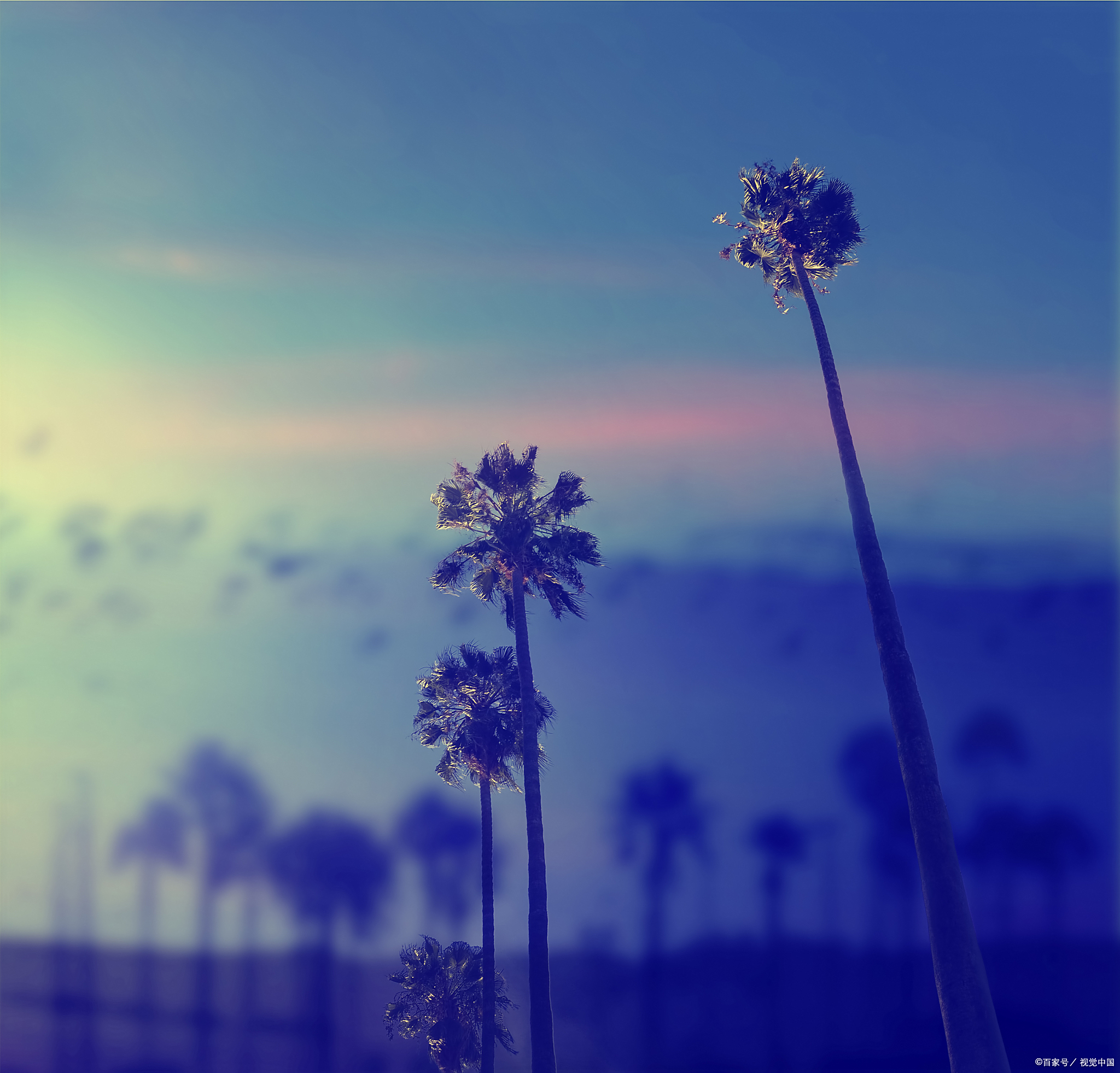 在一个阳光明媚的午后,小明带着满心期待来到新开的咖啡店,想要尝尝