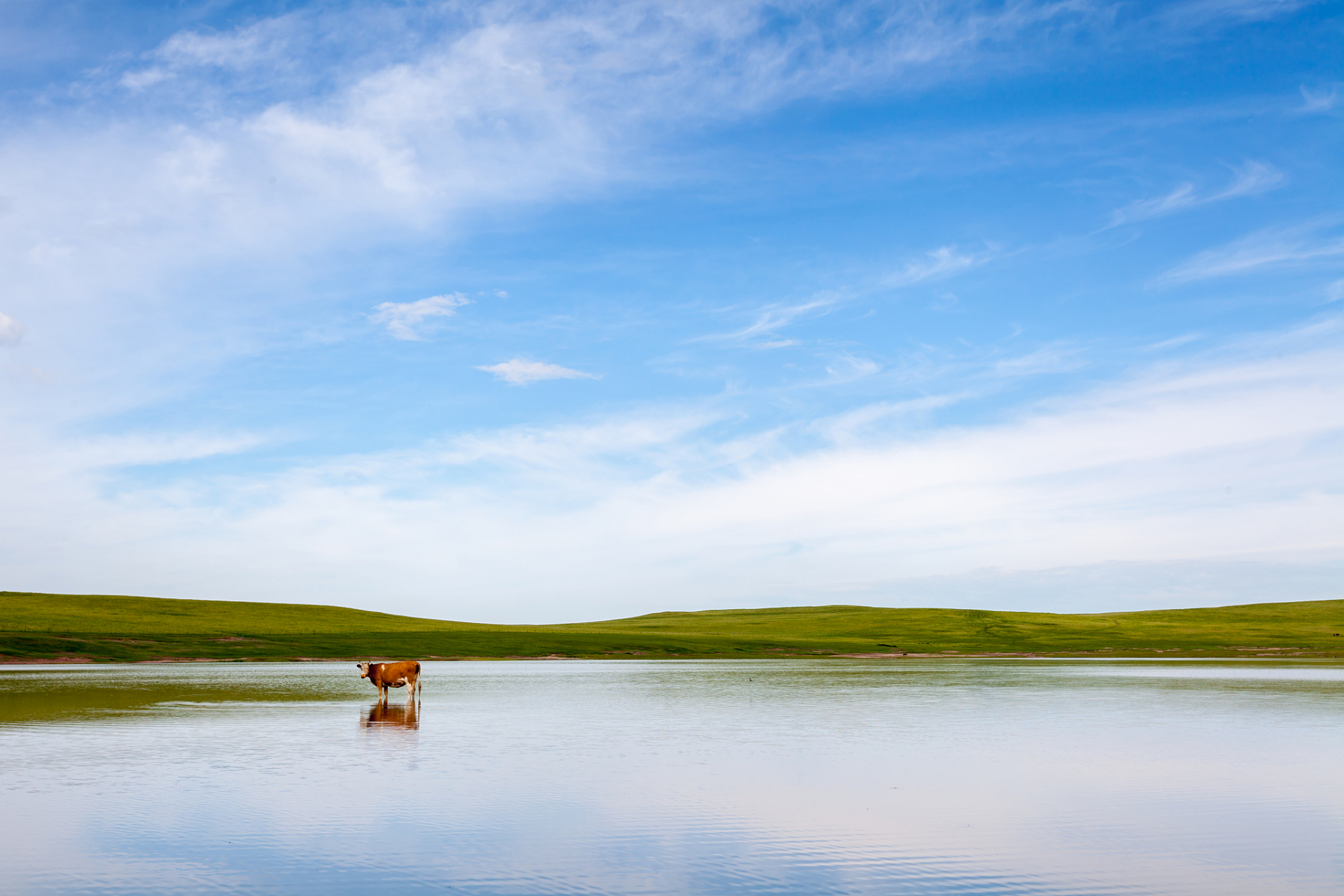 0#呼伦湖,绿意盎然的天然宝藏.